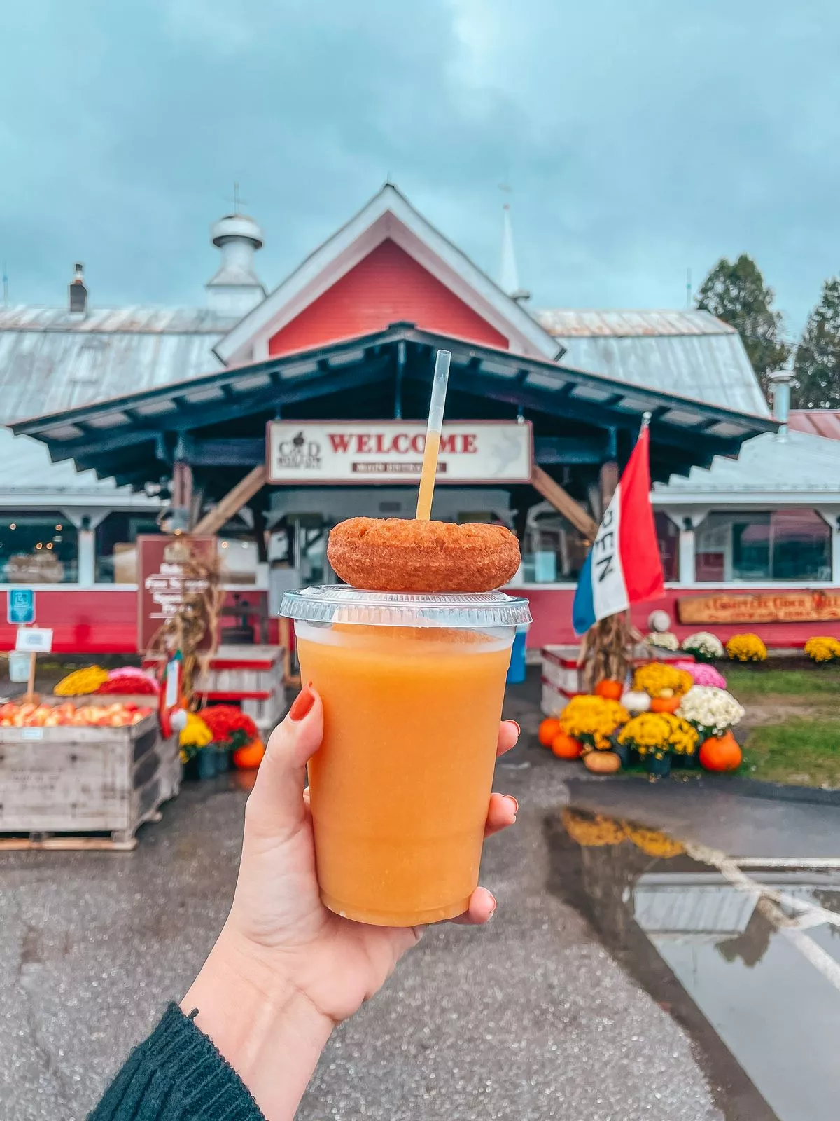 Cold Hollow Cider Mill cider and donut