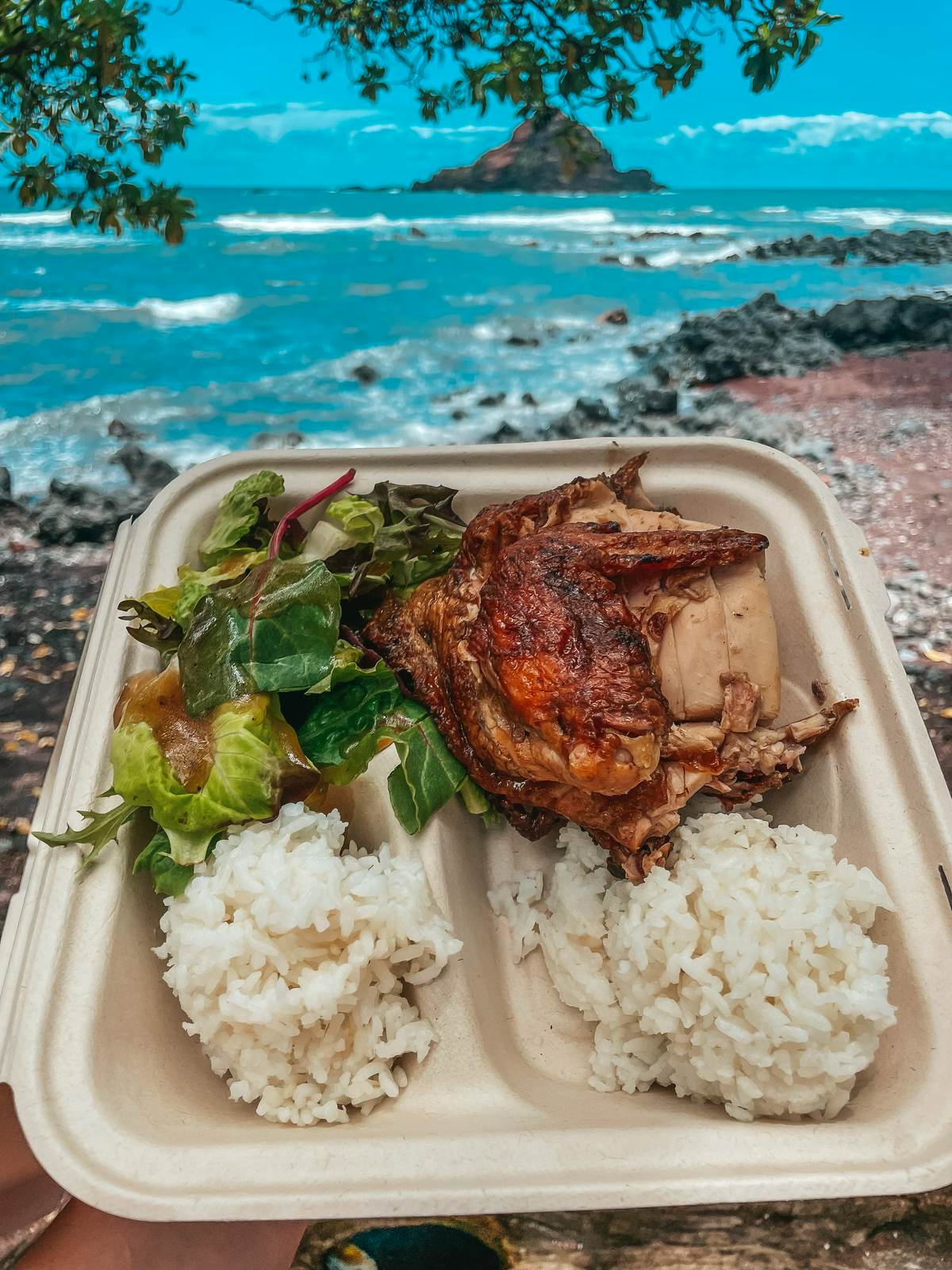 Huli Huli chicken on the Road to Hana