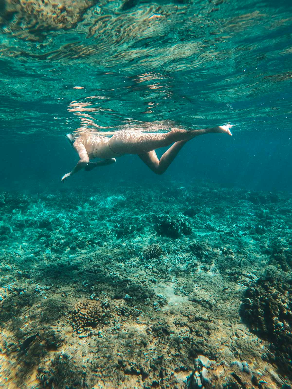 Snorkeling in Maui