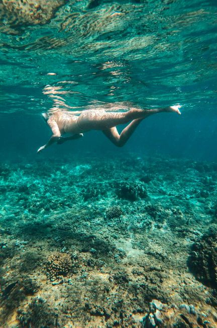 Snorkeling is one of the best things to do in Lahaina