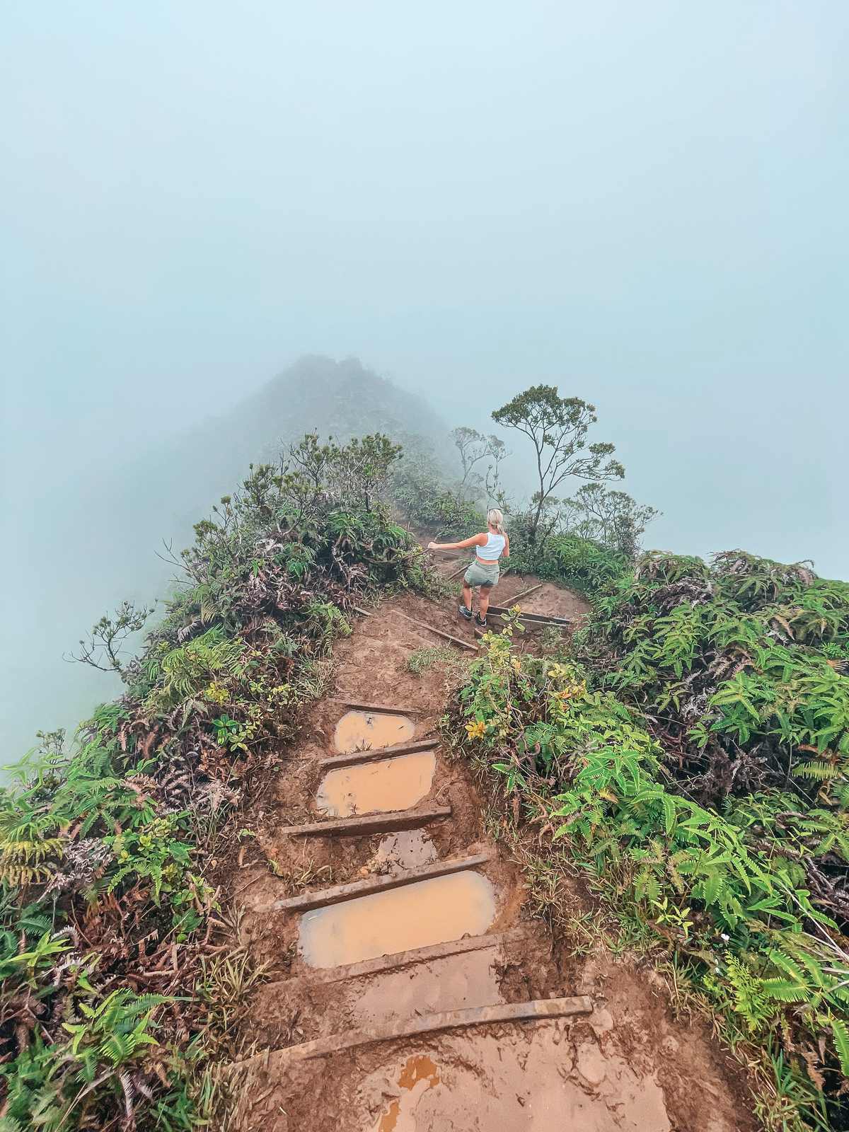 Wiliwilinui Ridge trail hike on Oahu foggy day