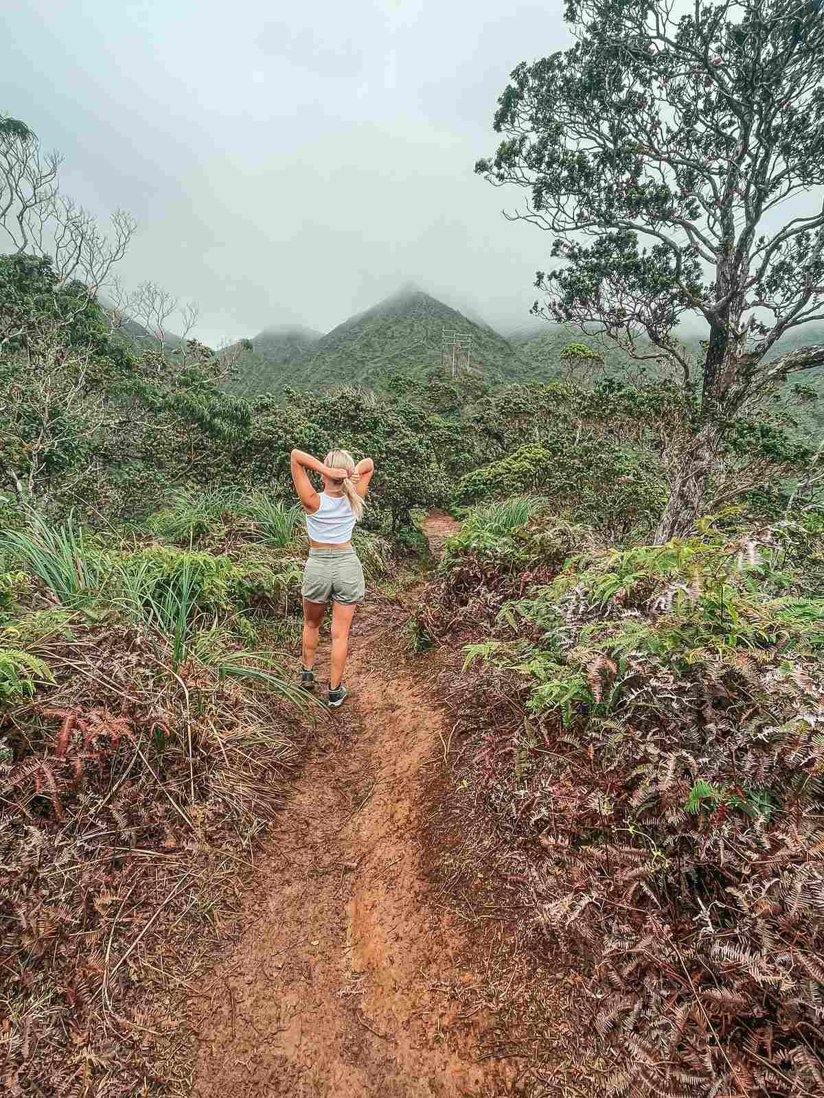 Wiliwilinui Ridge trail hike on Oahu foggy day
