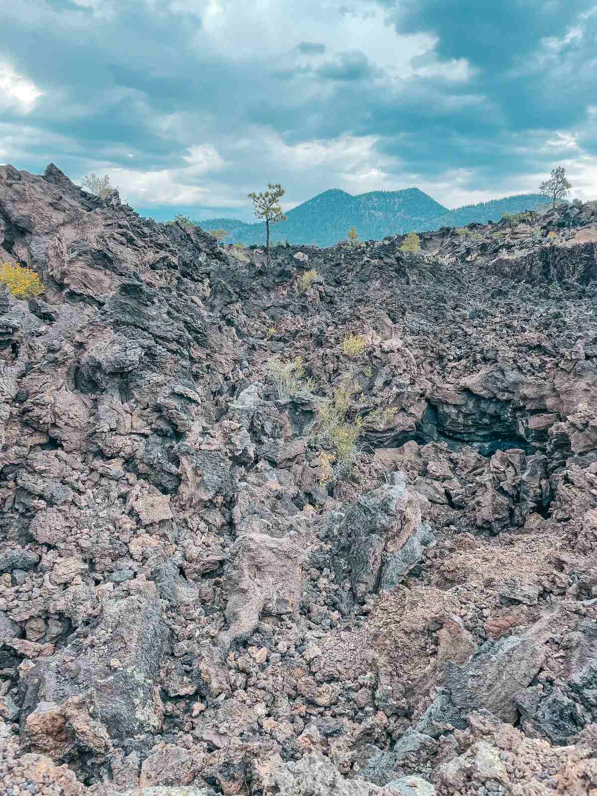 Sunset Crater Volcano National Park