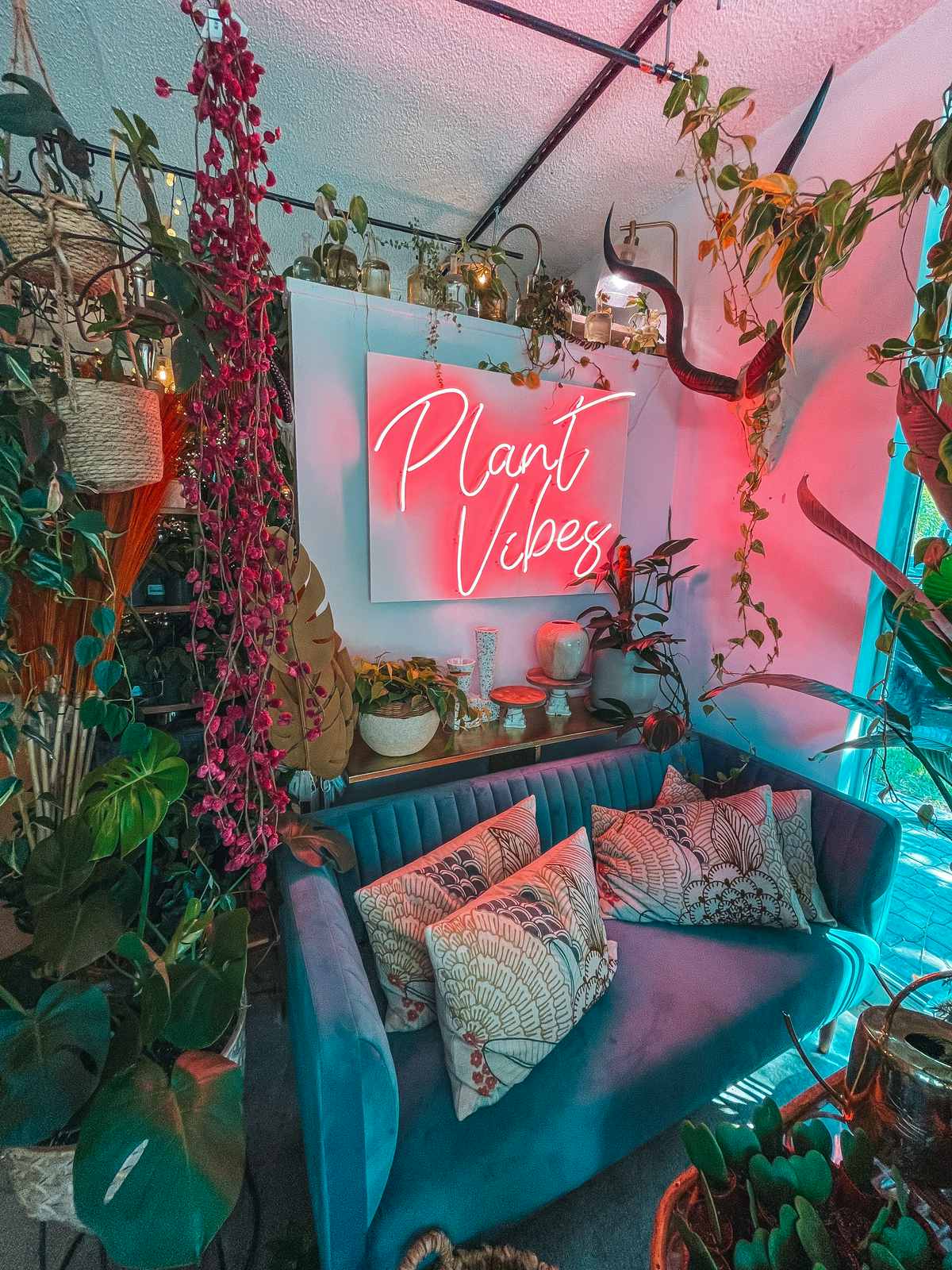 Plant Vibes seating area at Seeds Dunedin
