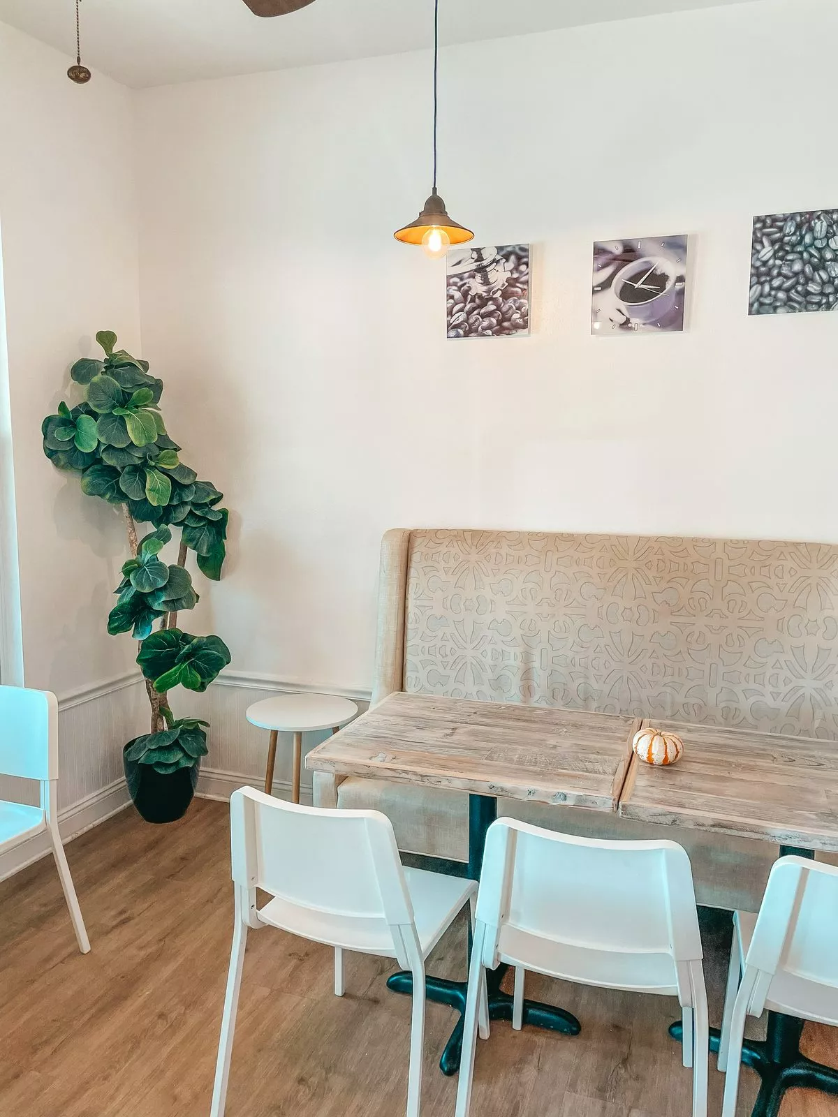 Inside Lavita Bakery and Gelato Coffee Shop in Dunedin Florida