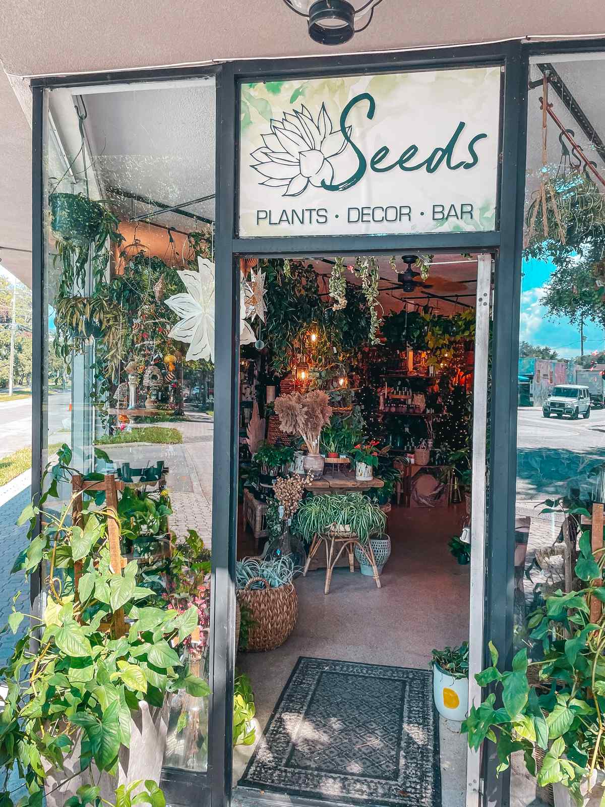 Seeds Dunedin plant shop
