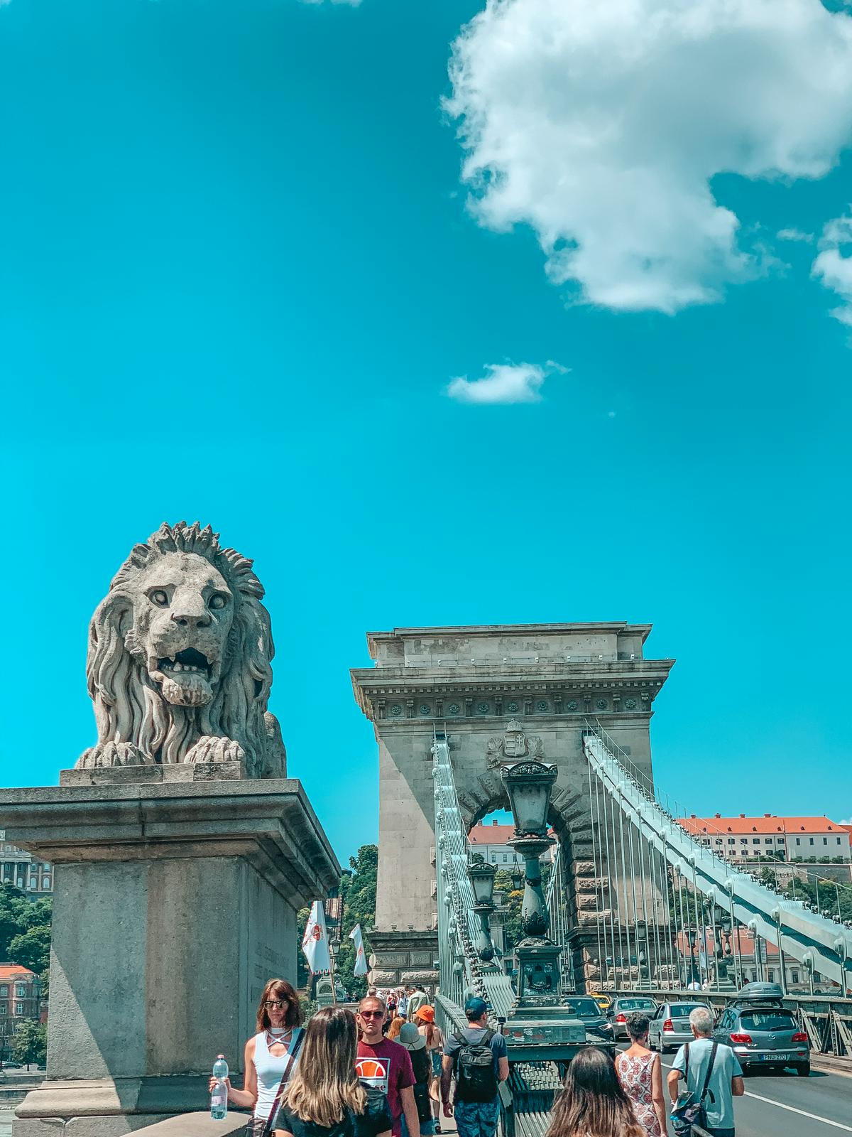 Chain Bridge Lion in Budapest