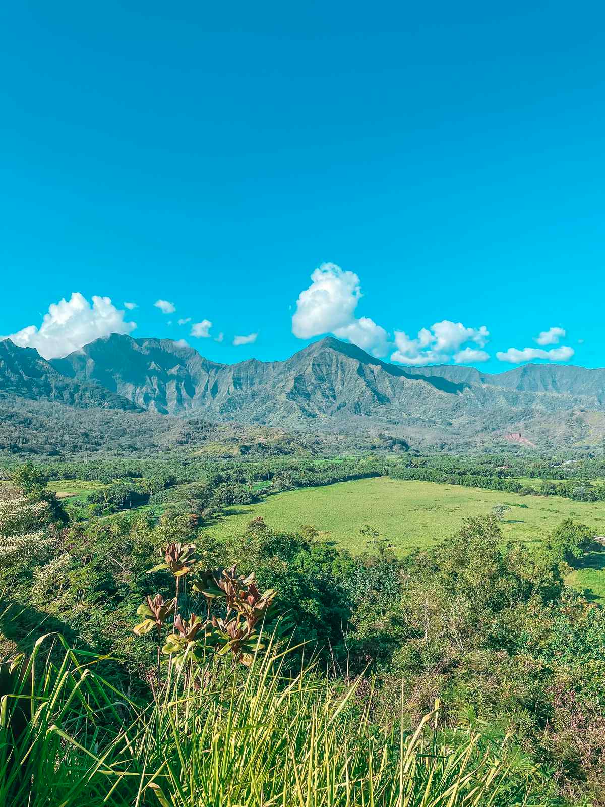 Views from the Hanalei Valley Lookout in Kauai