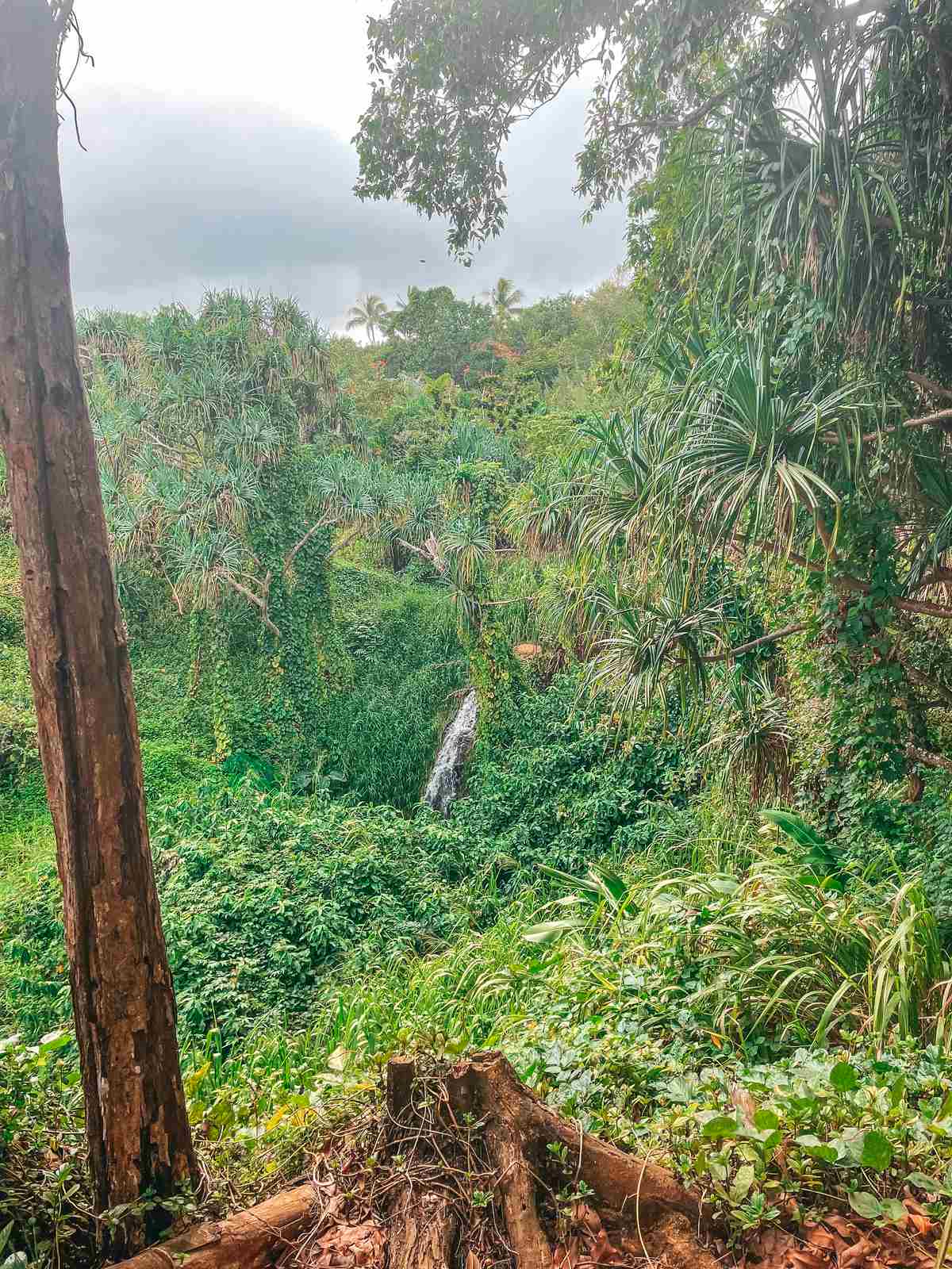 Views from the Kauai hike to Queens Bath