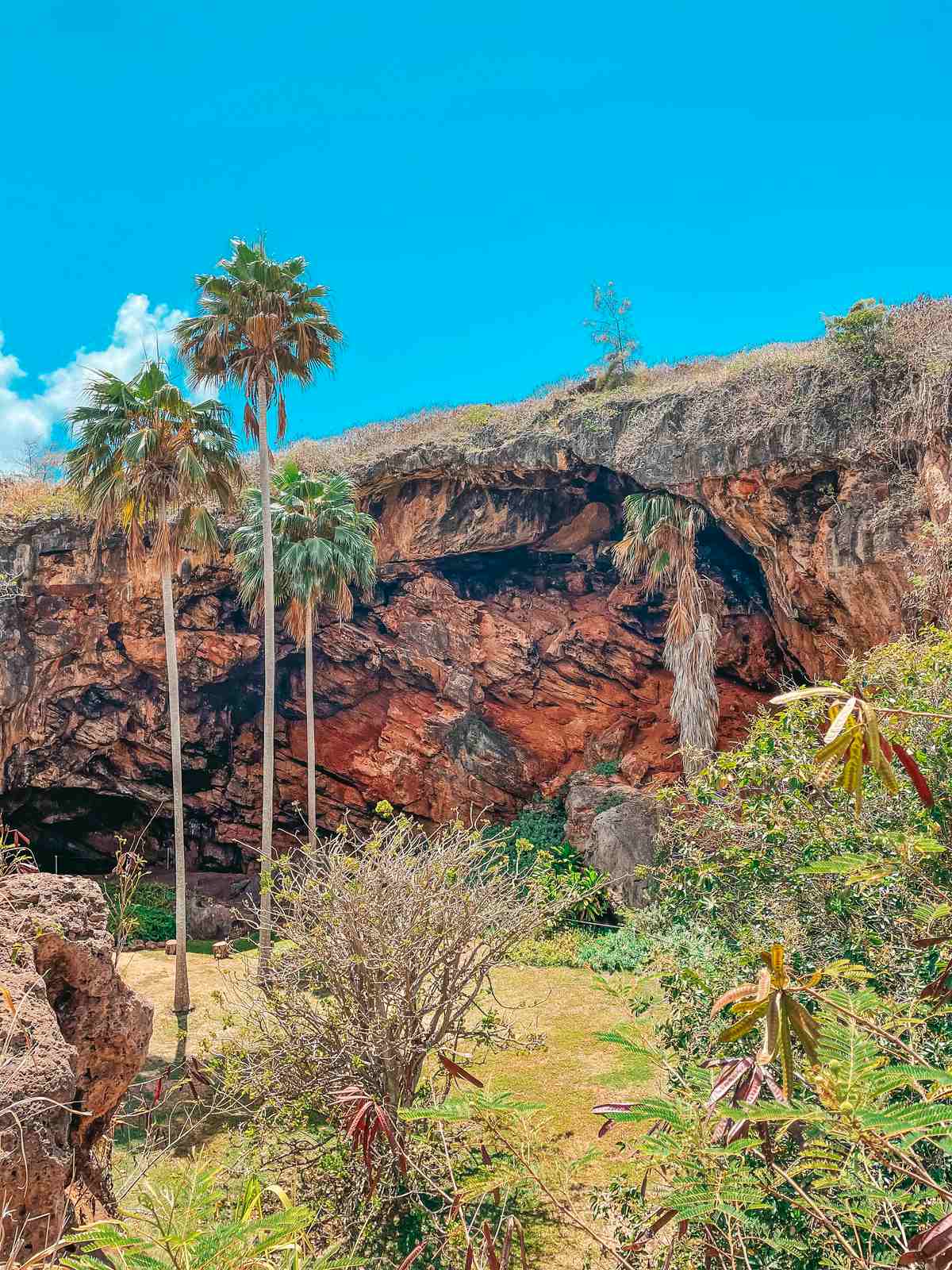 Kauai Makauwahi Cave Reserve