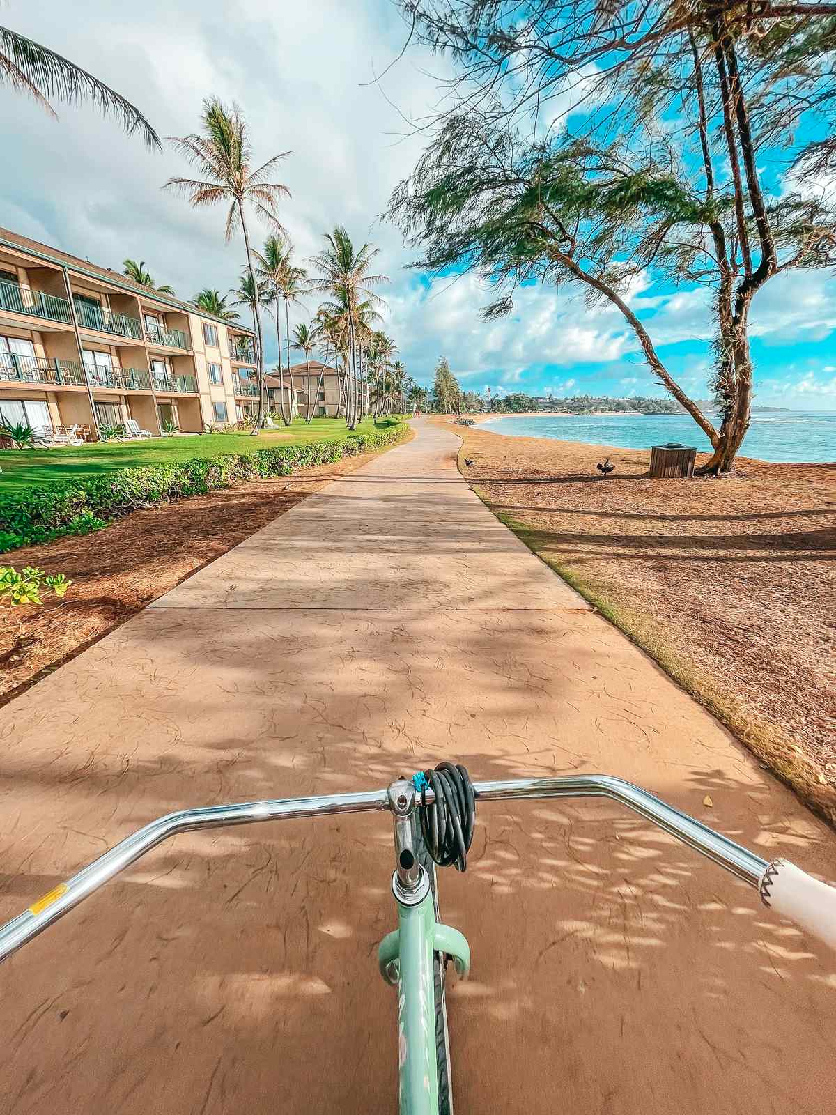 Riding bike trail in Kapaa