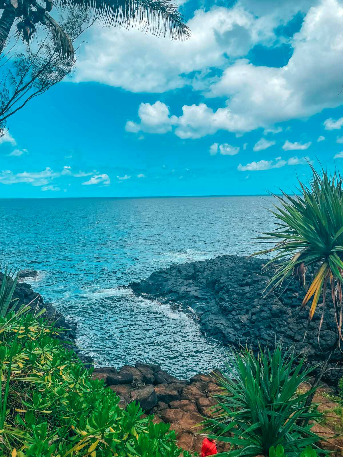 Views from Queens Bath hike in Kauai