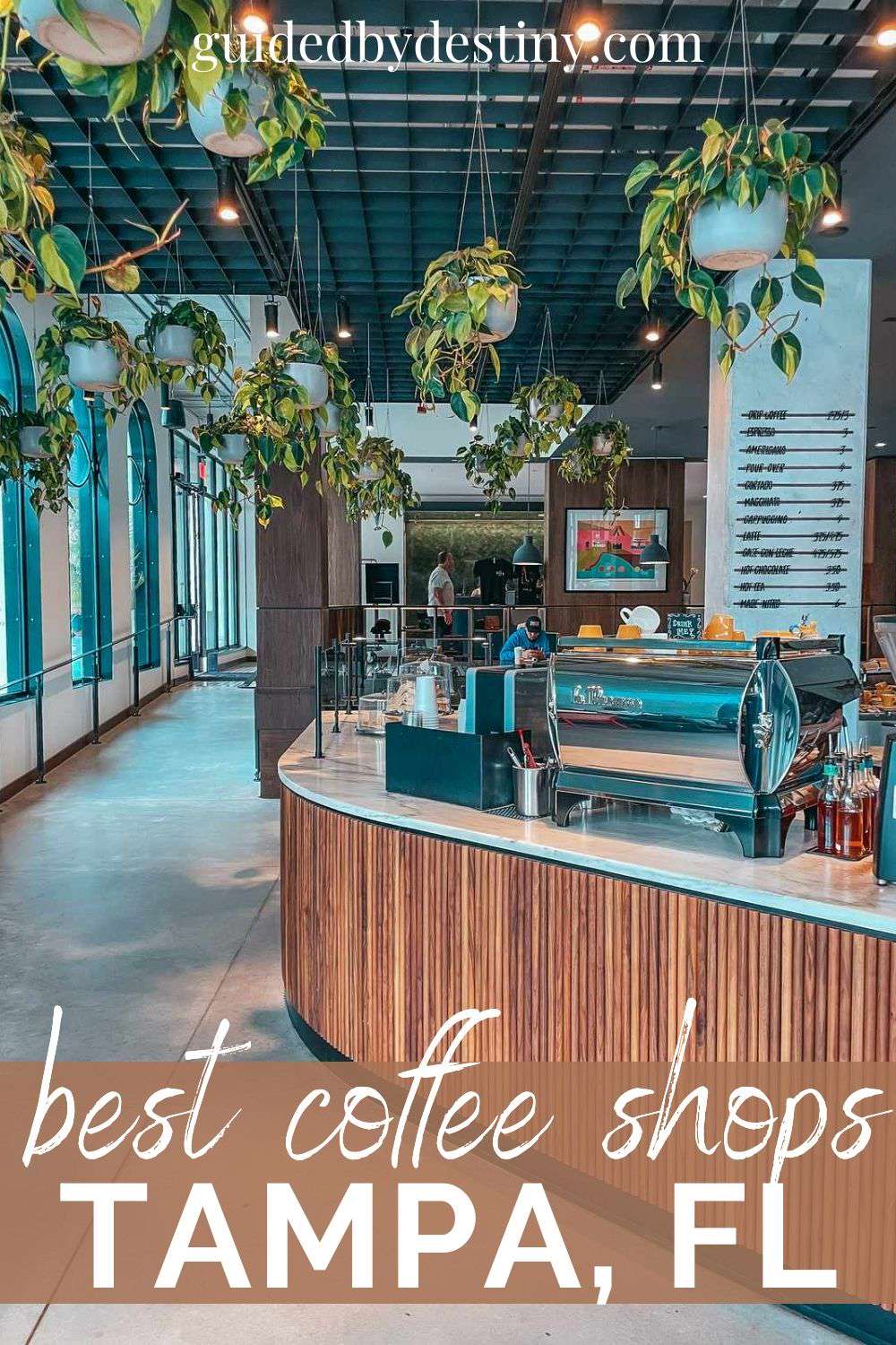 best coffee shops tampa fl