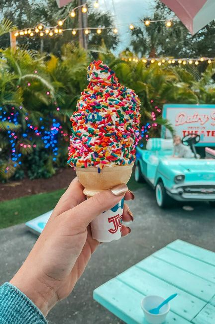 ice cream cone from Tampa ice cream shop