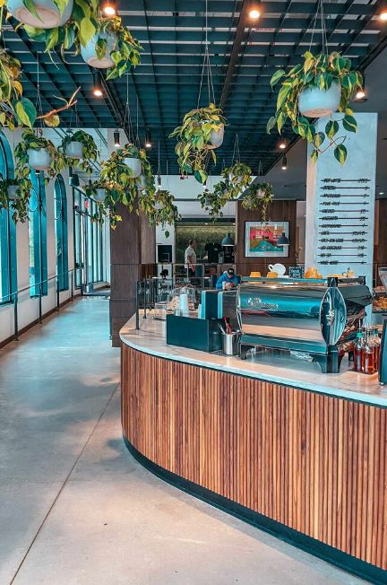 aesthetic coffee shop in Tampa