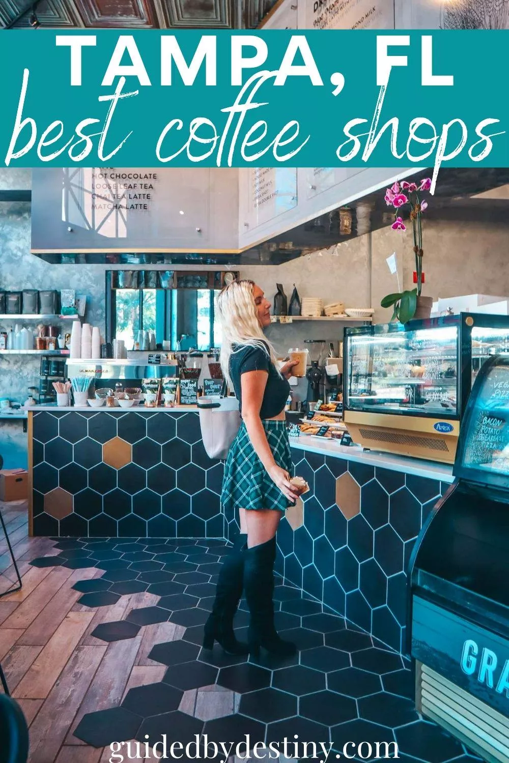 tampa fl best coffee shops