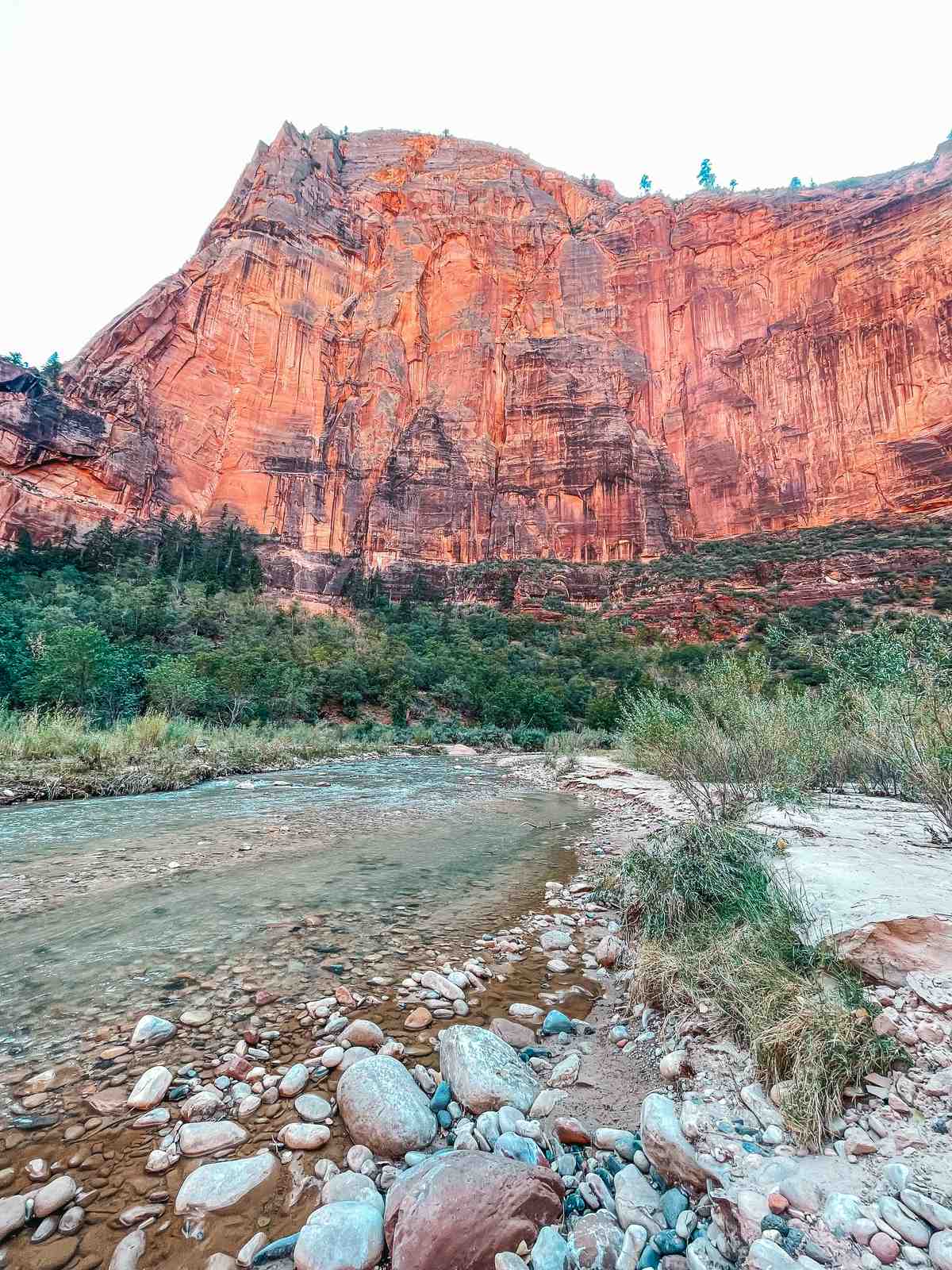 Stream at Big Bend in Zion National Park