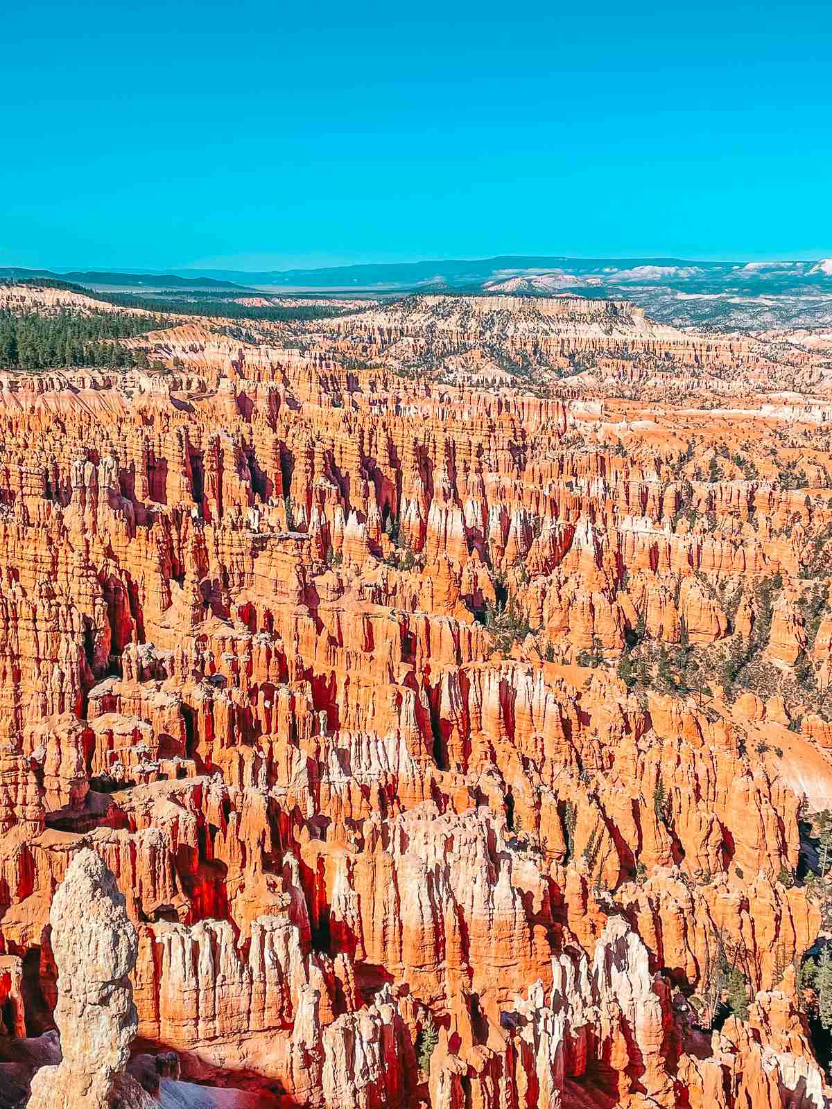 Hoodoos at Inspiration Point in Bryce Canyon National Park