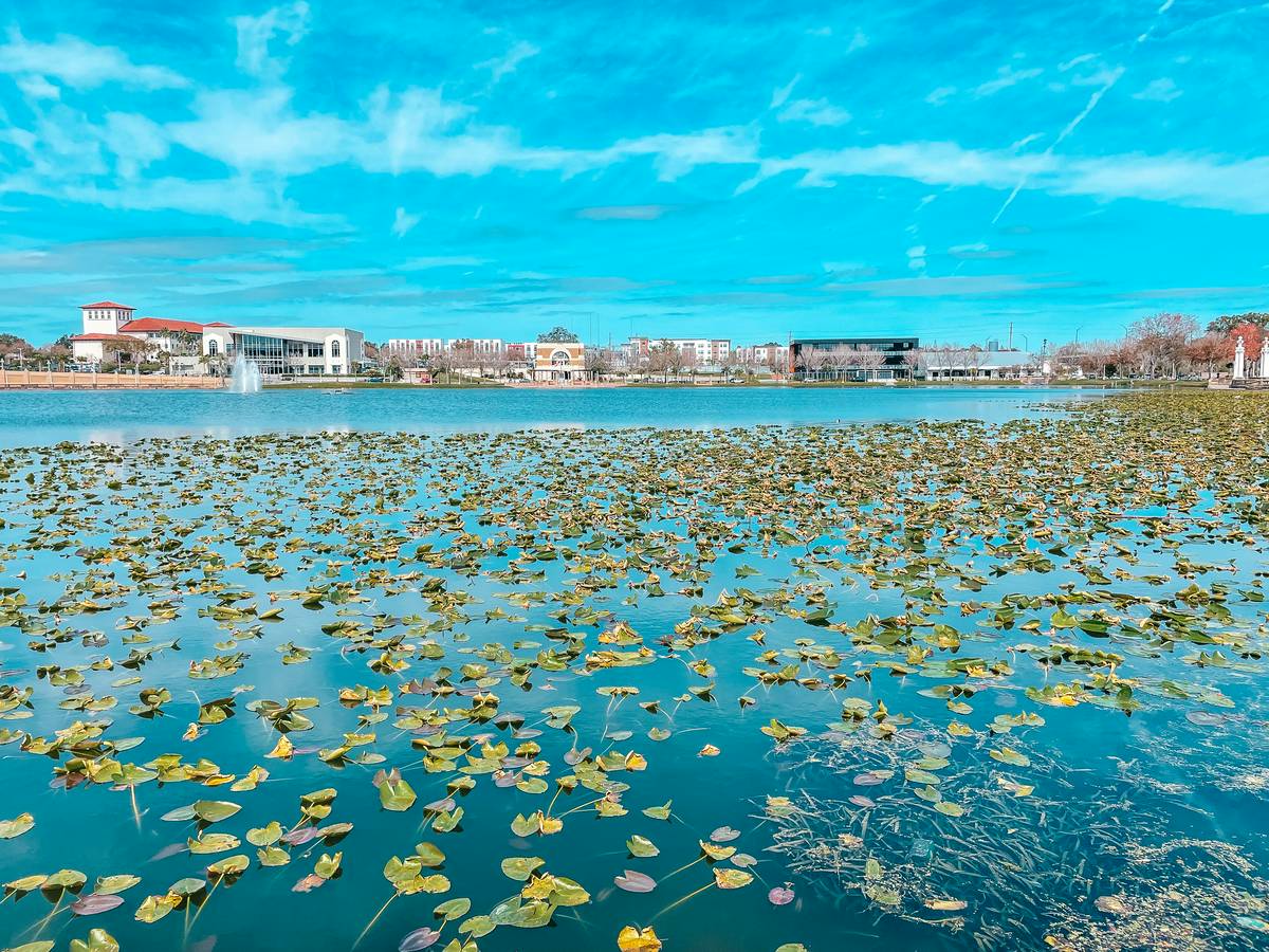 Lake Mirror Park Lakeland