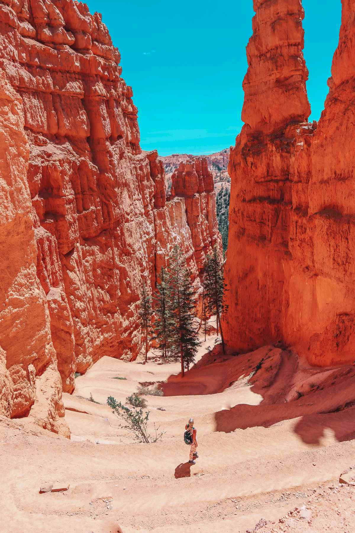 Beautiful landscape at Navajo Loop Trail in Bryce Canyon National Park