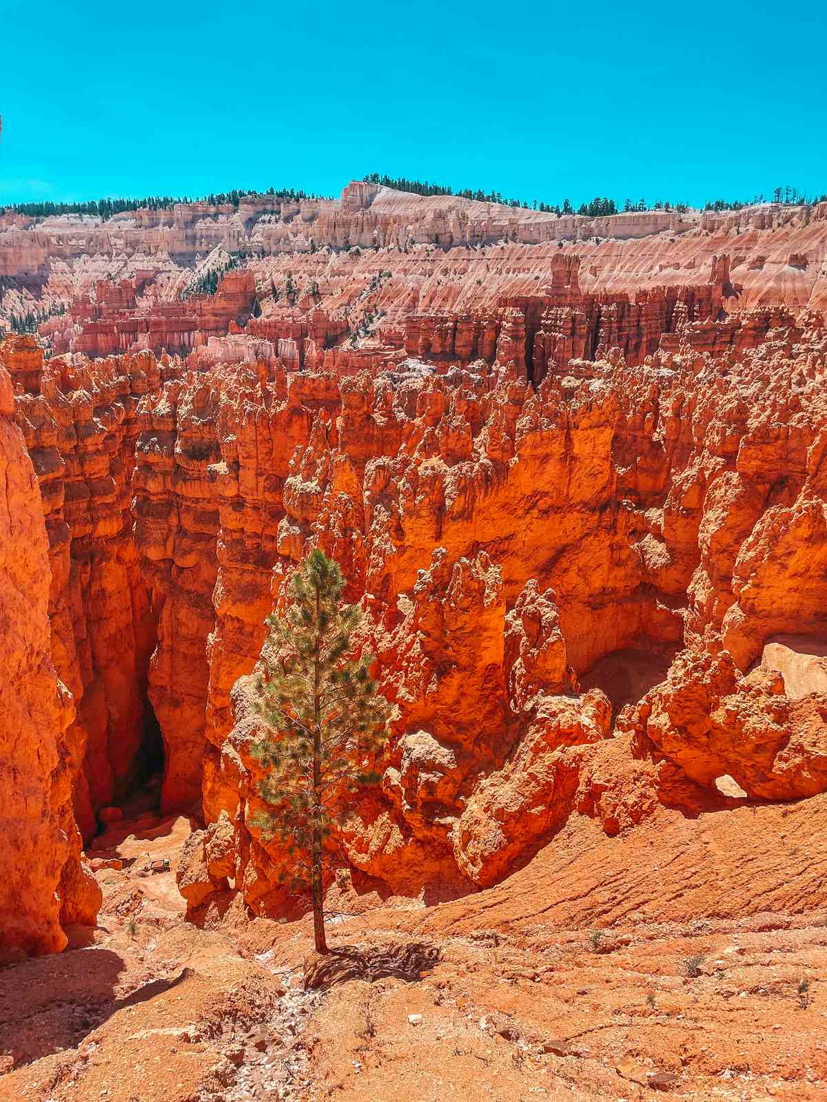 Views of hoodoos in the Navajo Loop Trail at Bryce Canyon National Park