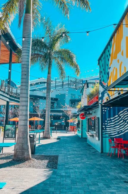 Best Things to do in Sarasota, Florida: Sarasota Visitors Guide