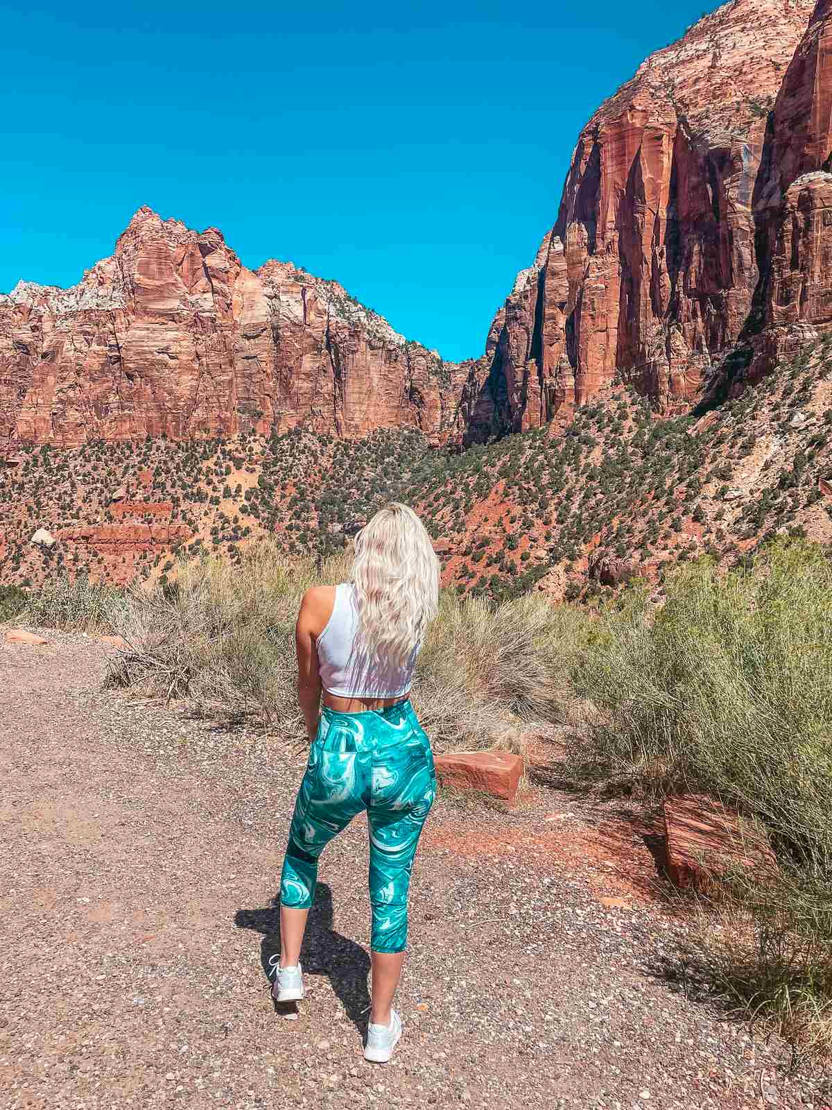 Mountains and landscape at Zion National Park in Utah