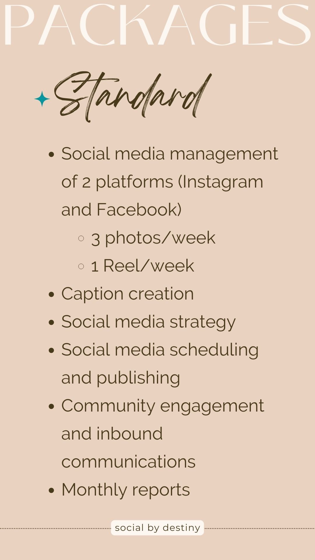 social media standard package