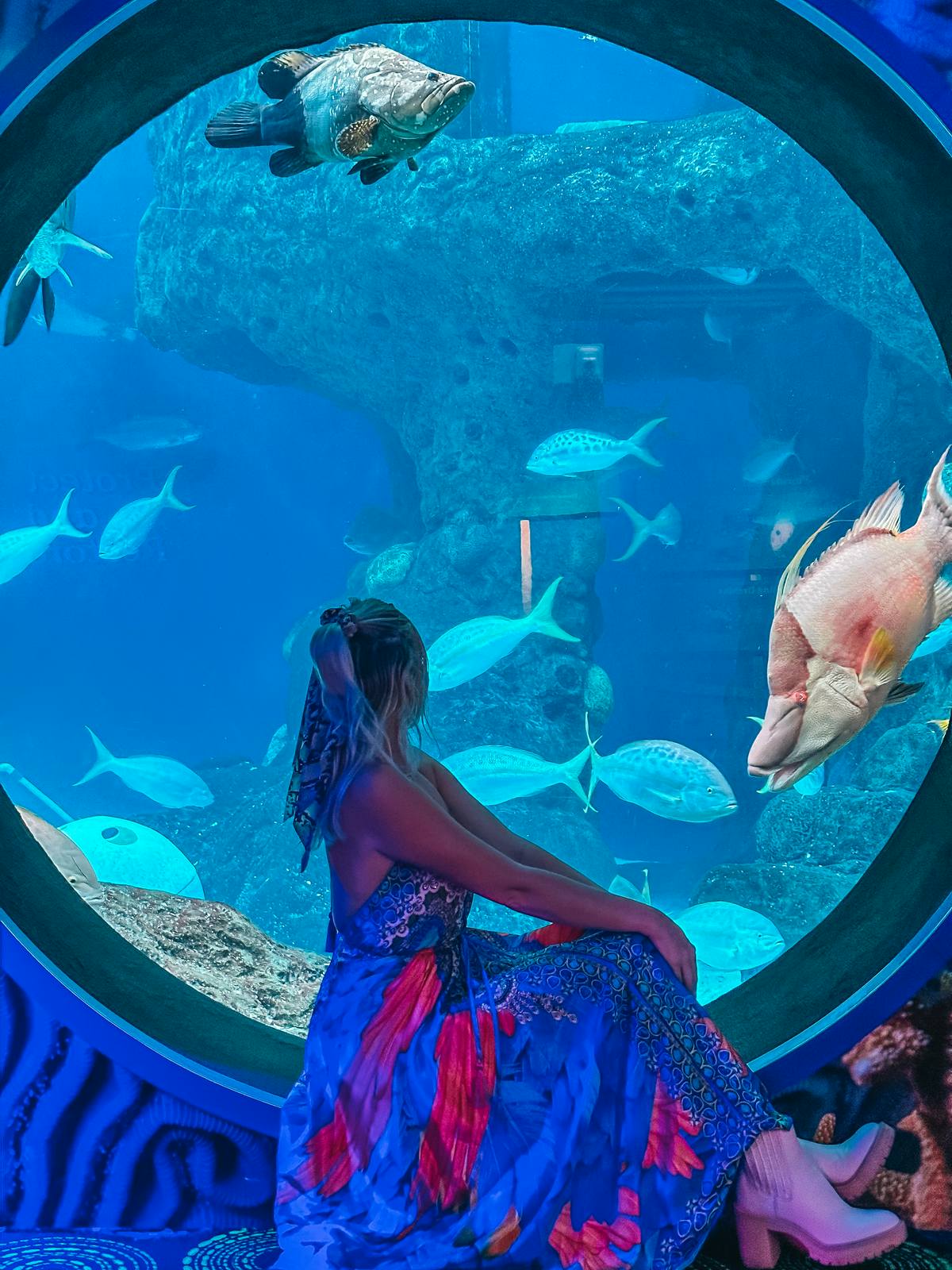 Under the Sea at the Florida Aquarium