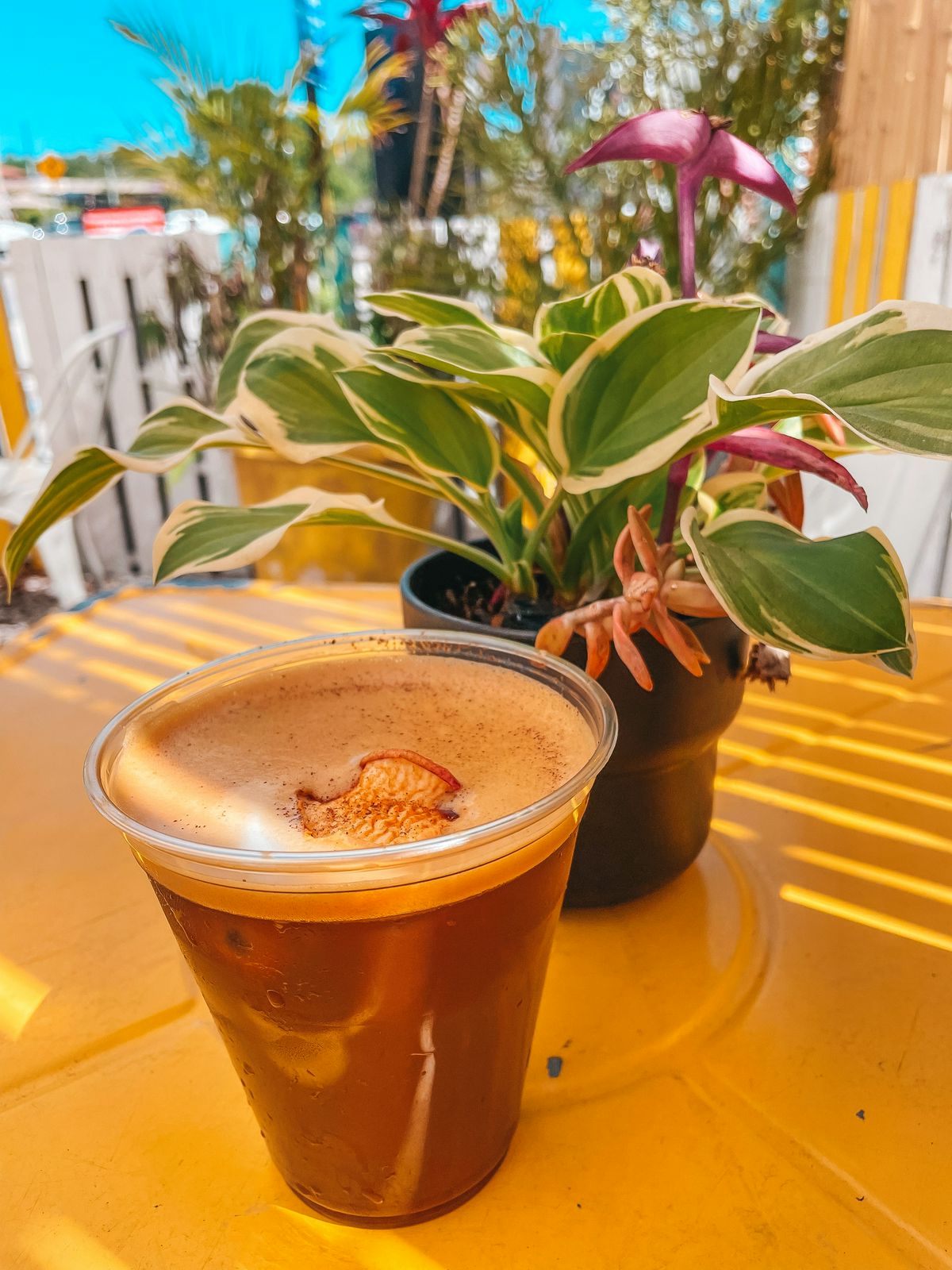 Cold brew from Brewed Awakenings in St Pete