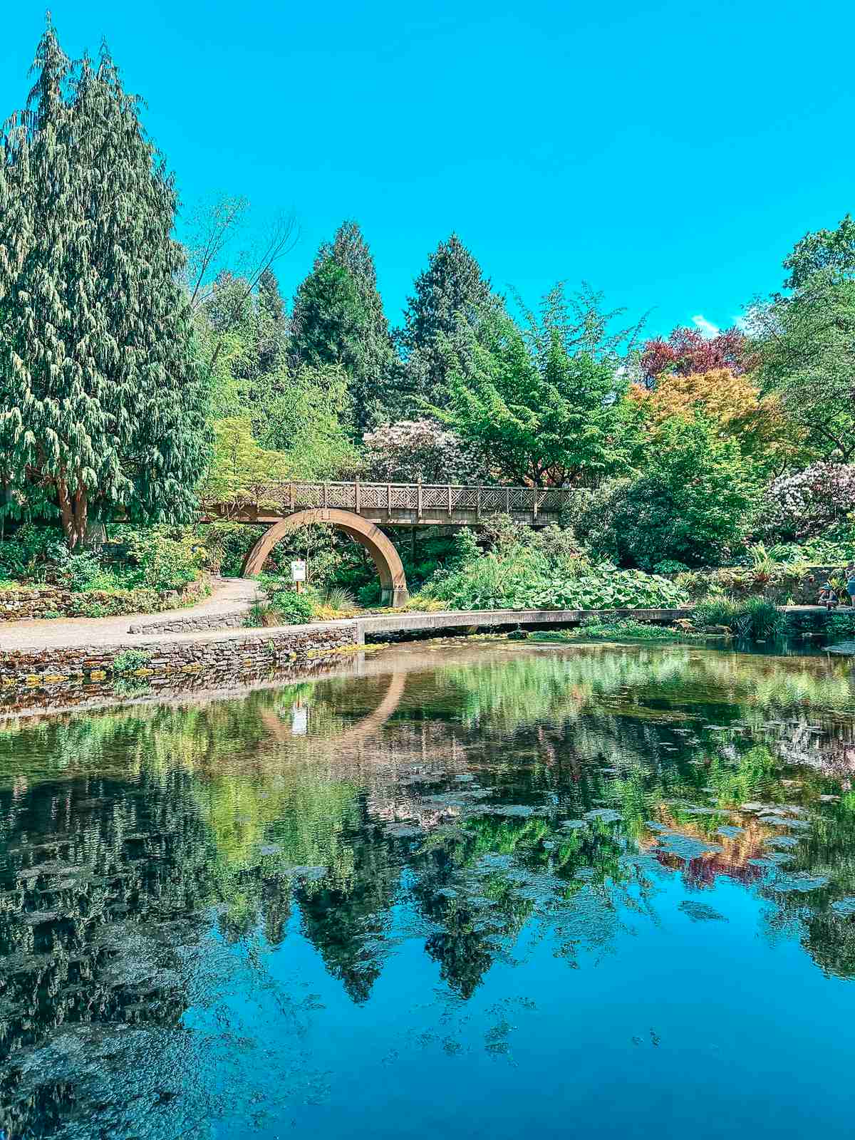 lake in Crystal Springs Rhododendron Garden