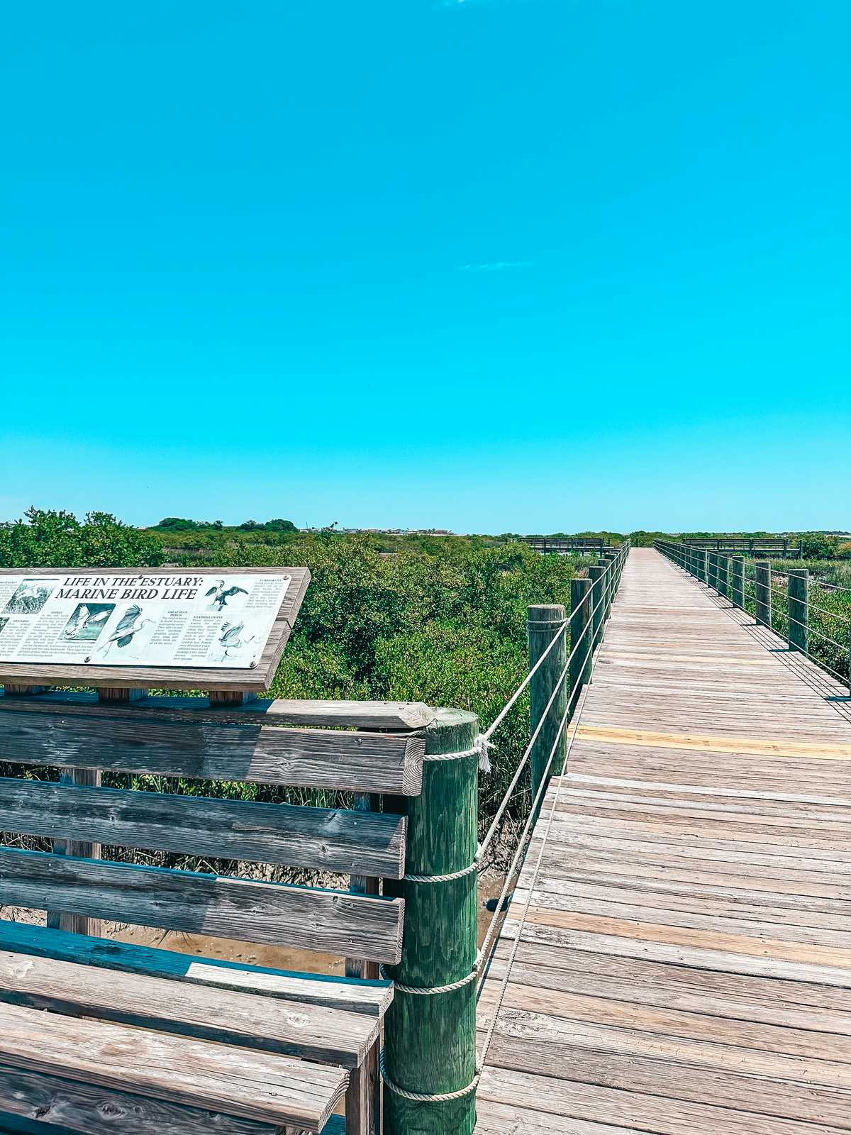 Boardwalk at the Fountain of Youth in St. Augustine