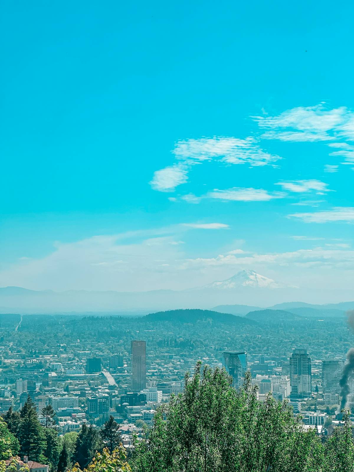 Mount Hood views from Pittock Mansion in Portland