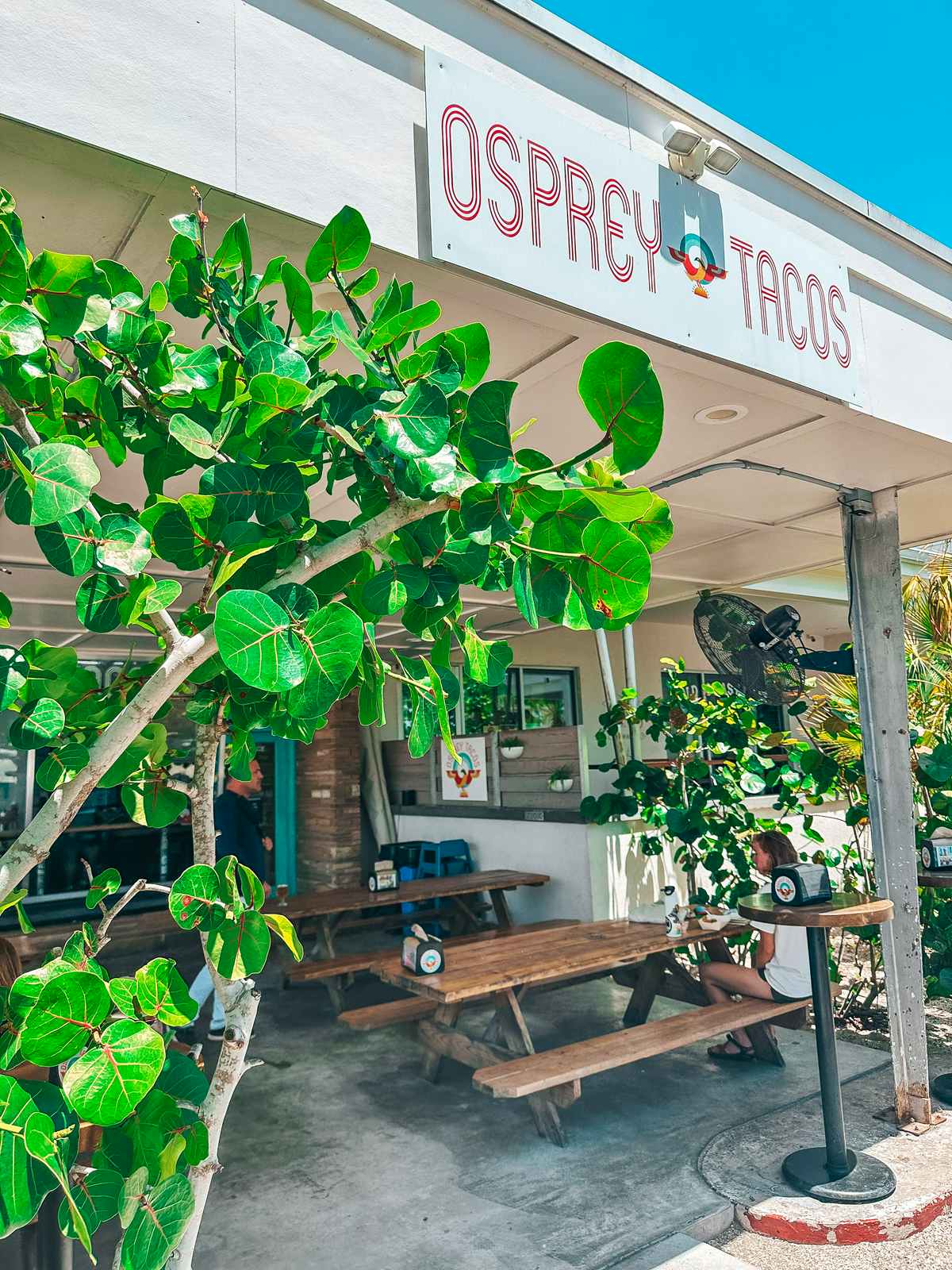 visit the Osprey Tacos when you spend a Weekend in St. Augustine