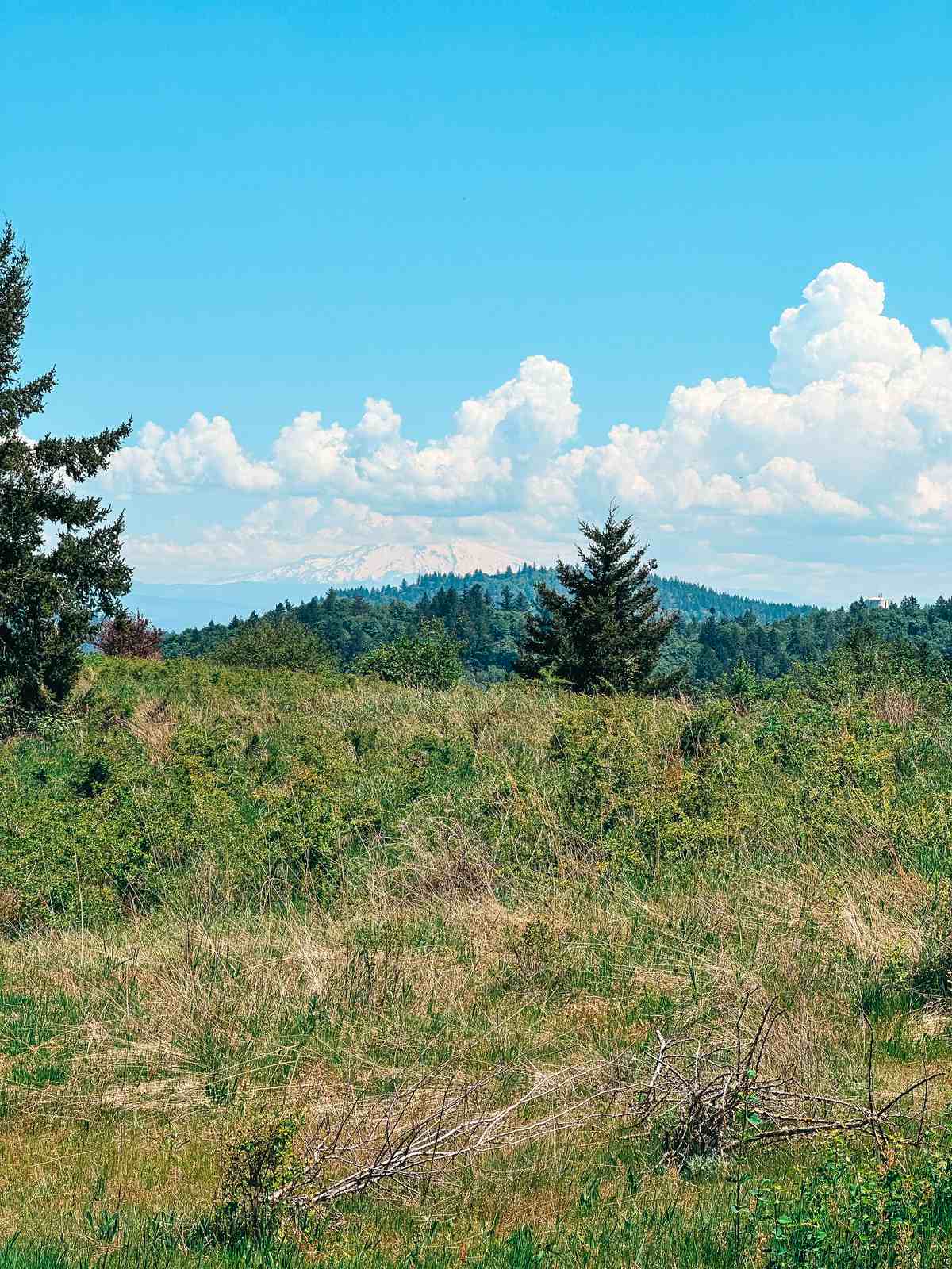 Powell Butte Nature Park Mount Hood views