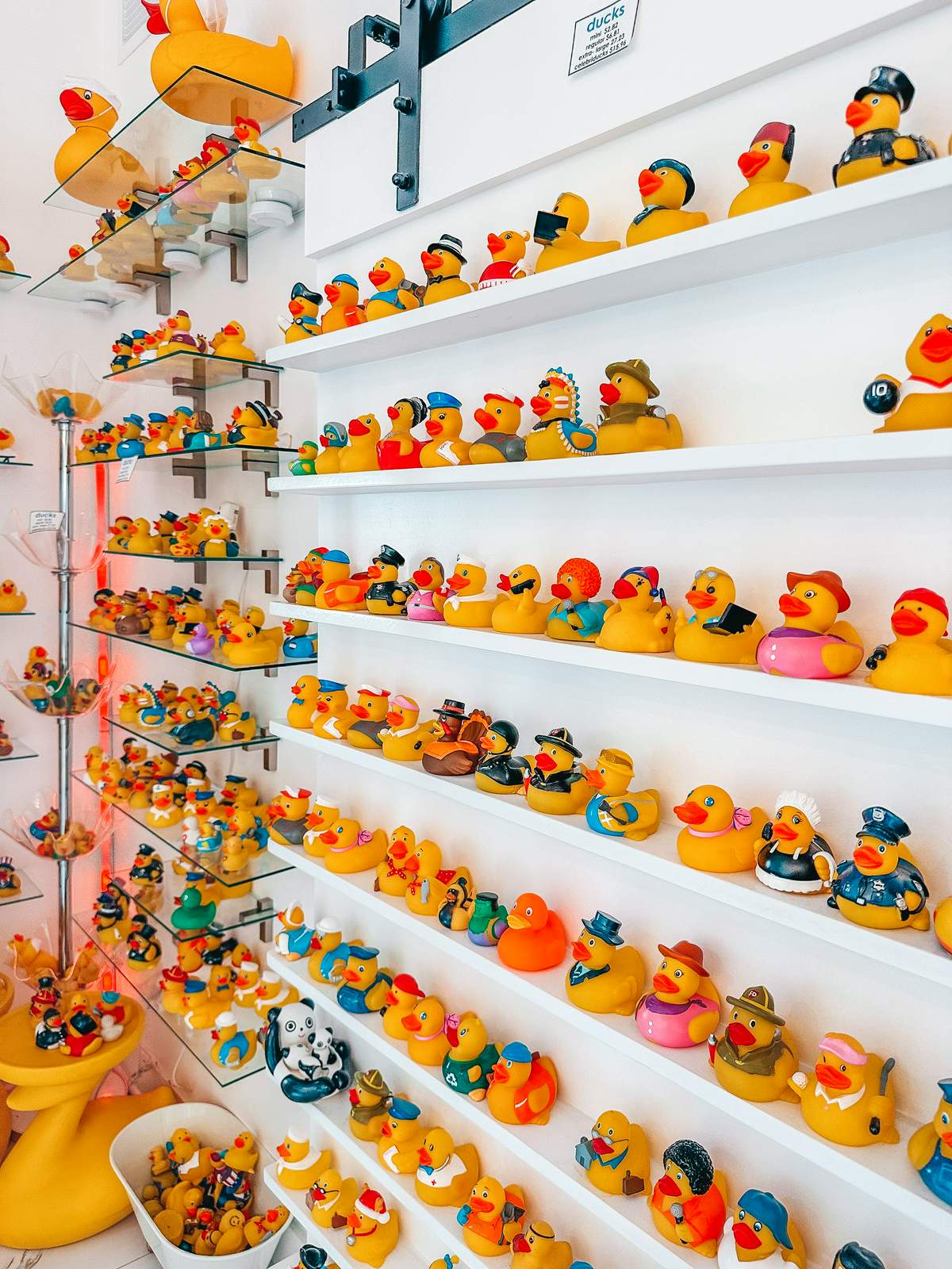 Rubber ducky collection at the Tipsy Duck bar