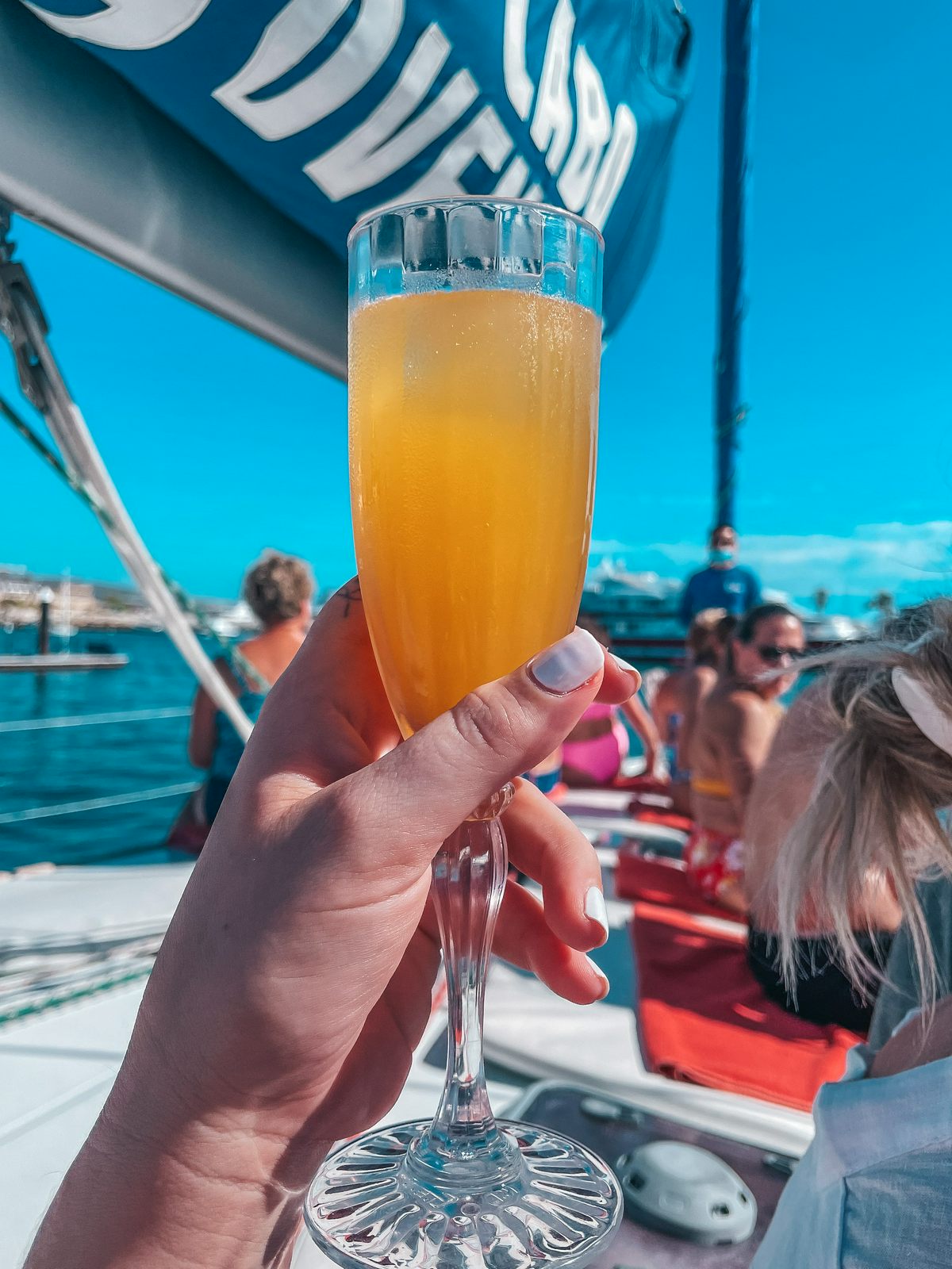 drink and sail in Cabo in December