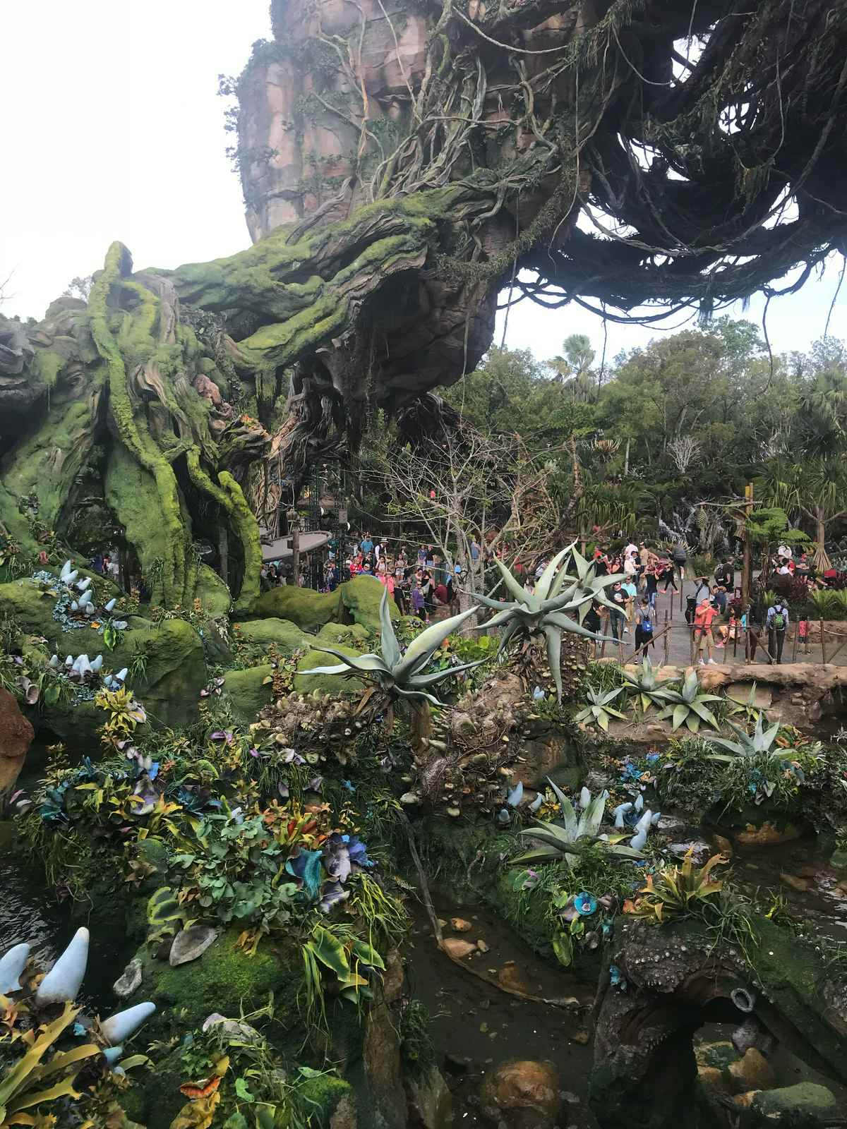 Disney World Animal Kingdom Pandora