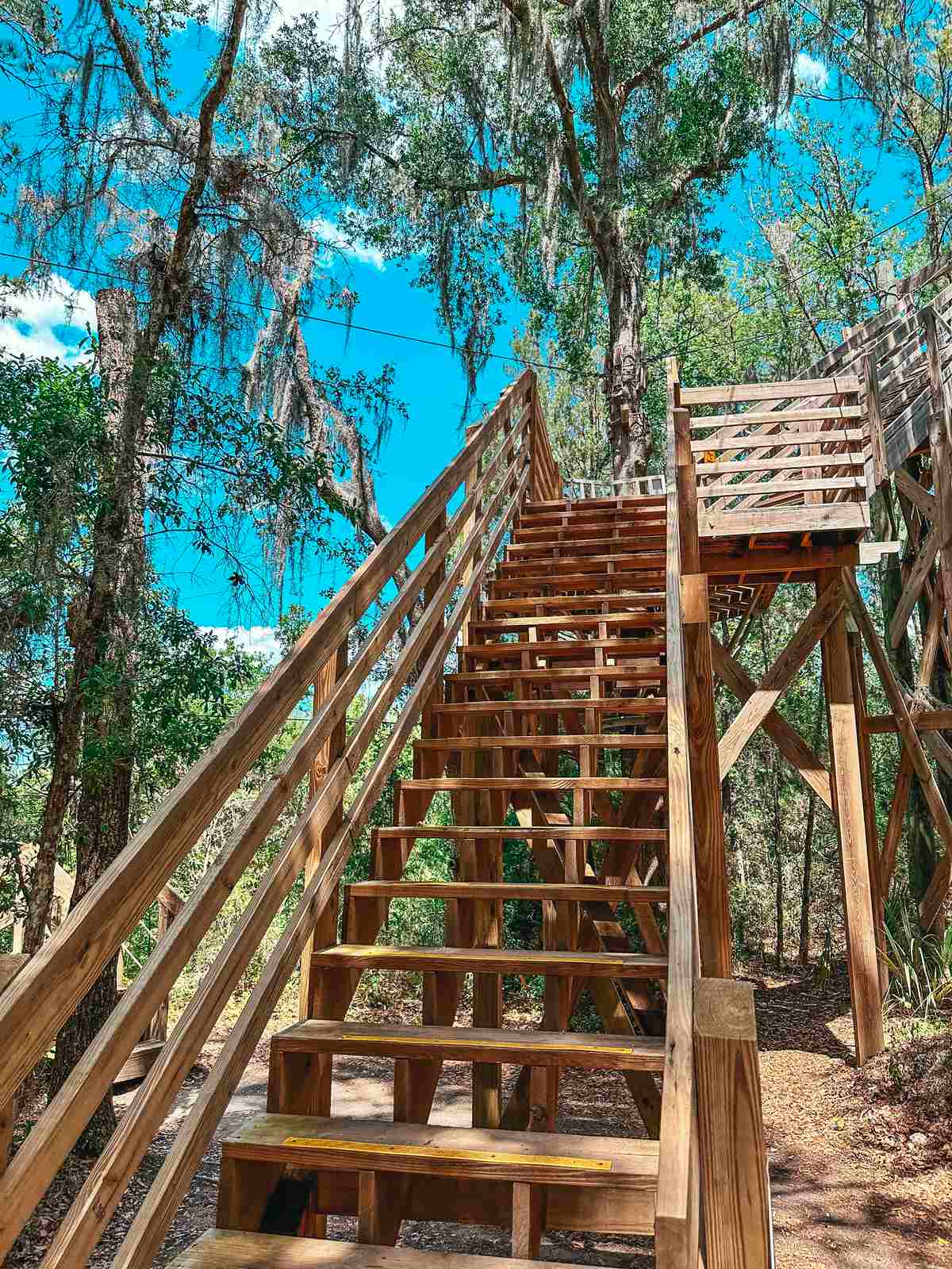 wooden ladder 