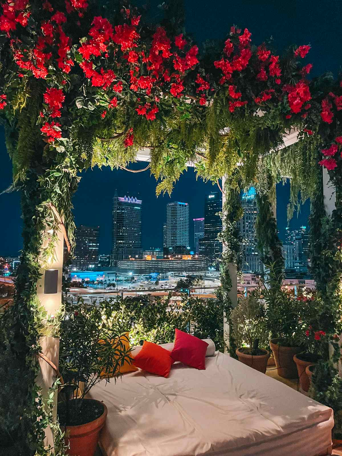 Tampa EDITION skyline at night