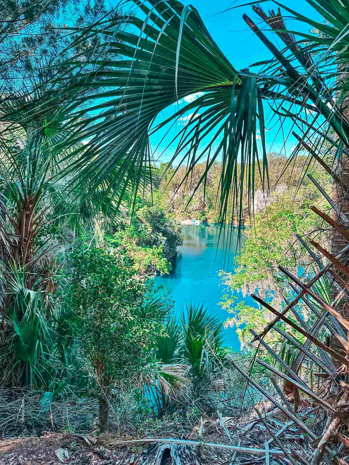 a view of the lake in a park for a weekend getaways from Tampa