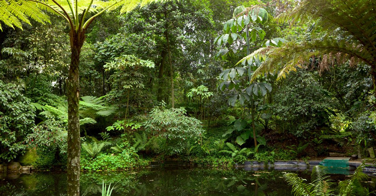 Bogota Botanical Garden