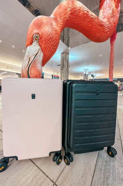 Level8 Luggage Review pink and black carry on