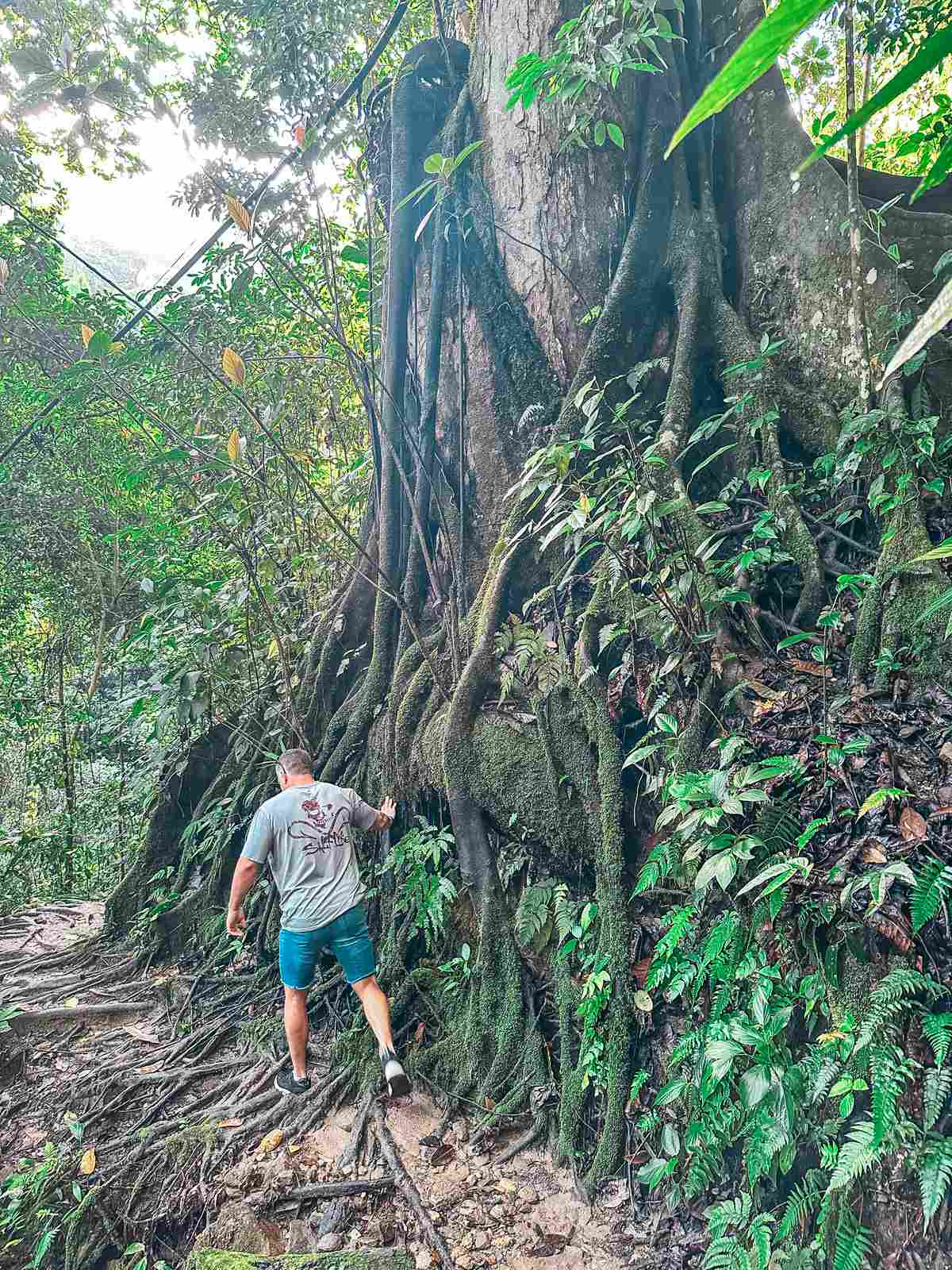 Hiking in Minca Colombia rainforest