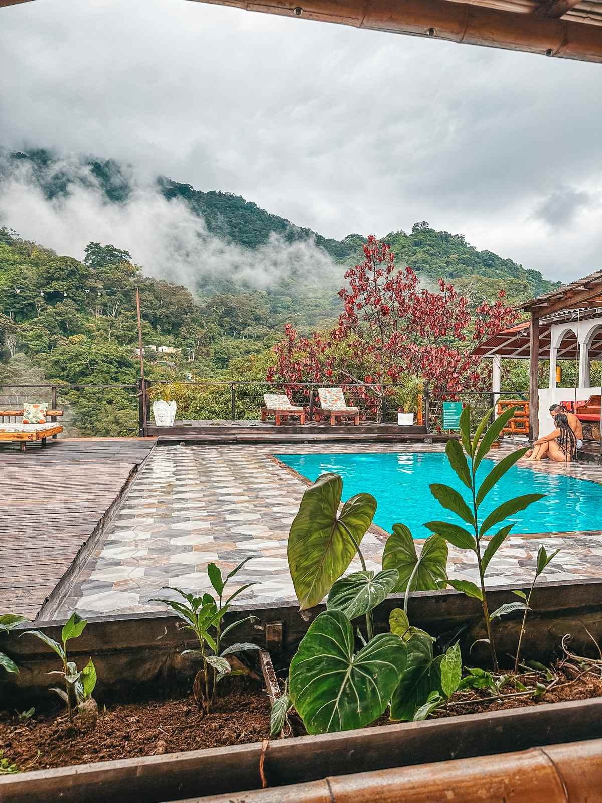 Minca Hostel pool