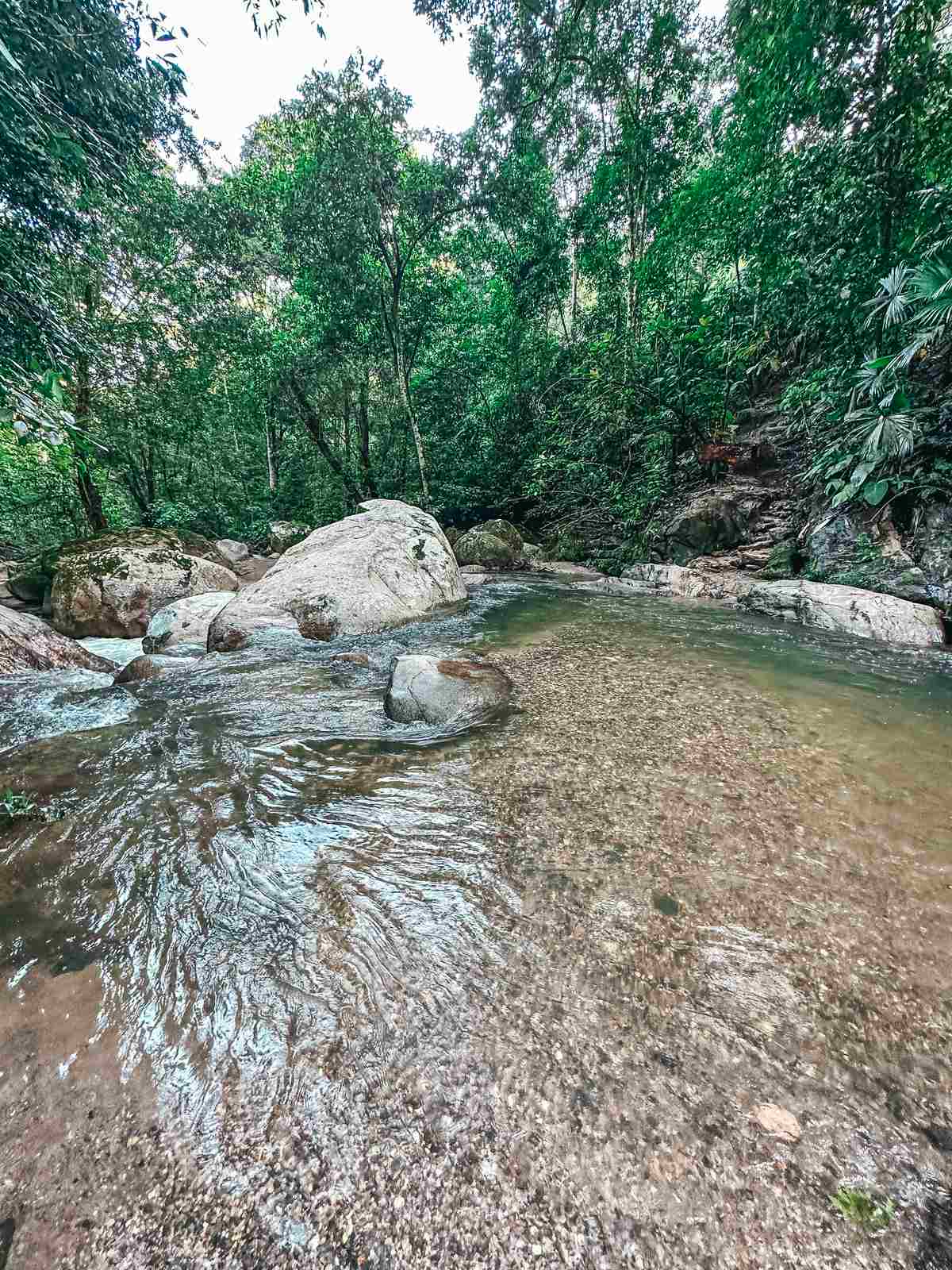 Hiking in Minca Colombia