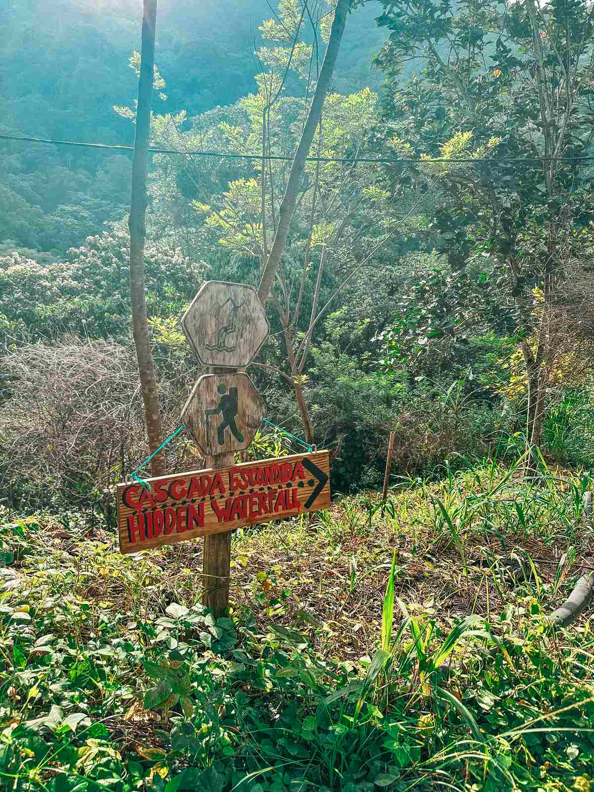 Waterfall hike near Siembra Boutique Hostel