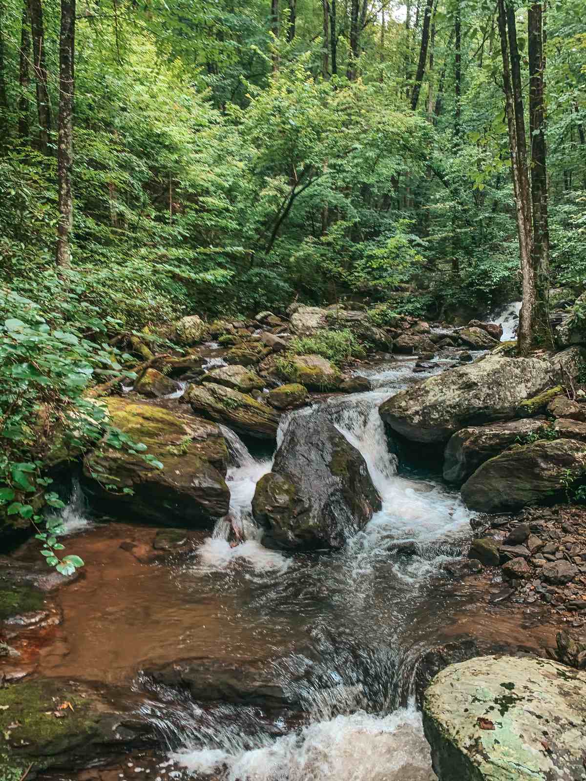 Anna Ruby Falls Helen Hike