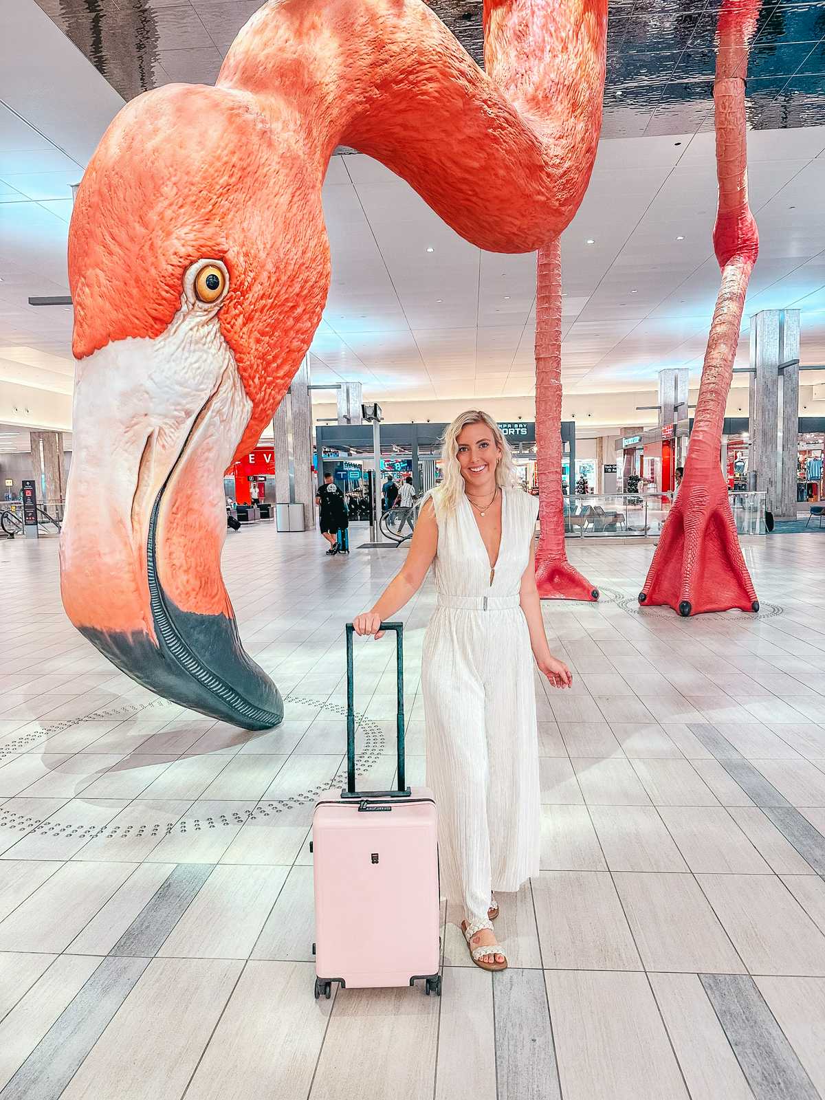 Level8 pink carry on
