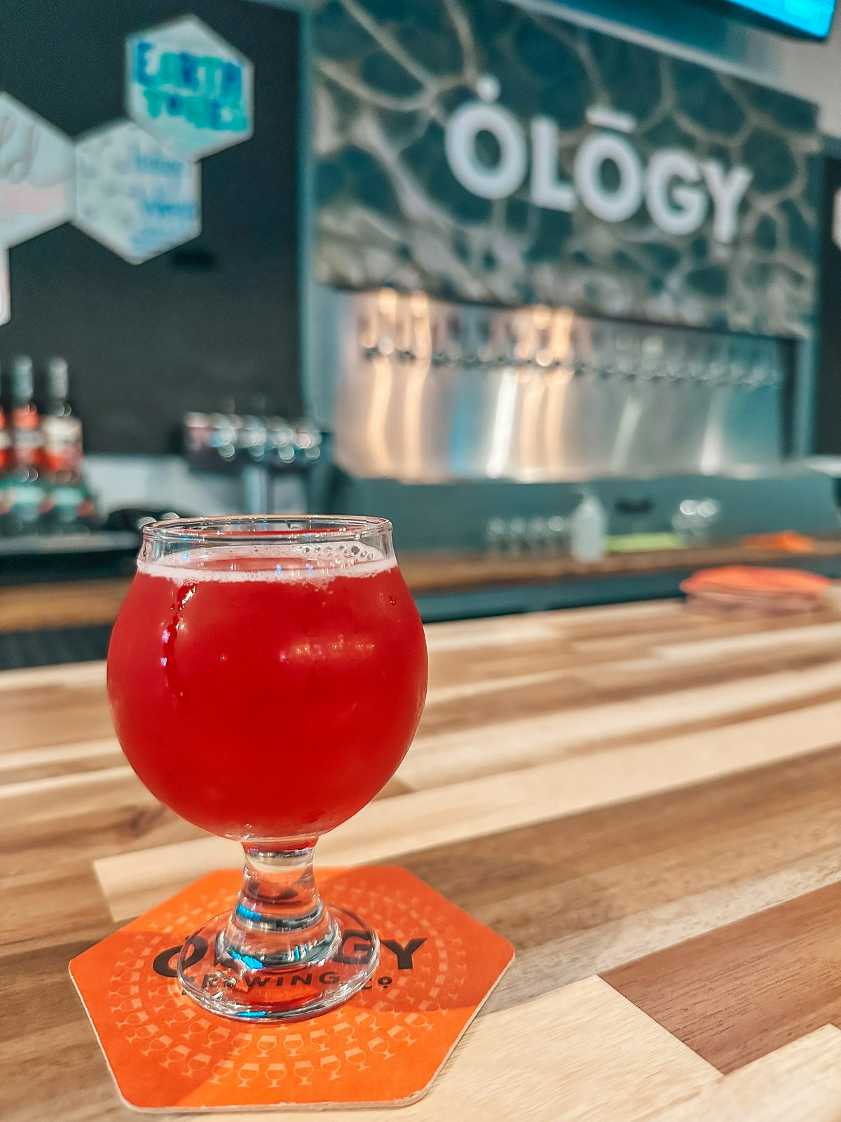 Ology Brewing sour in Seminole Heights